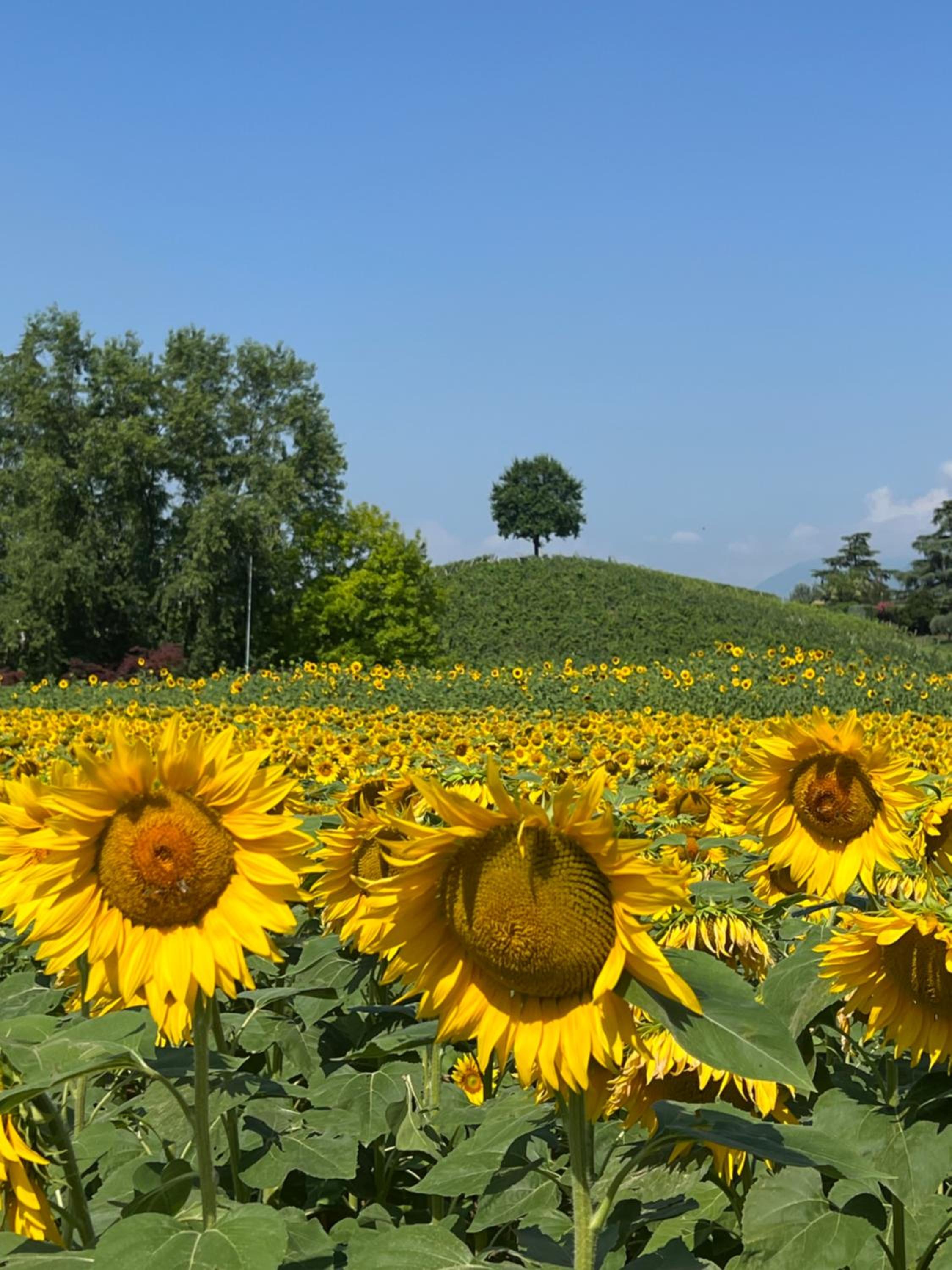 Borghetto San Biagio Relais Agriturismo view 5
