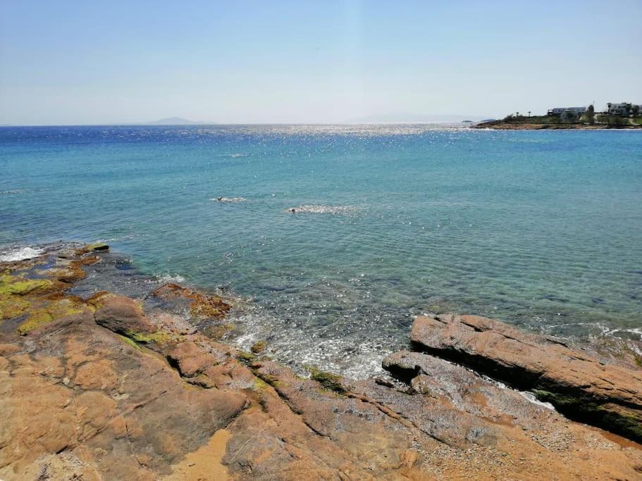 Photo 44