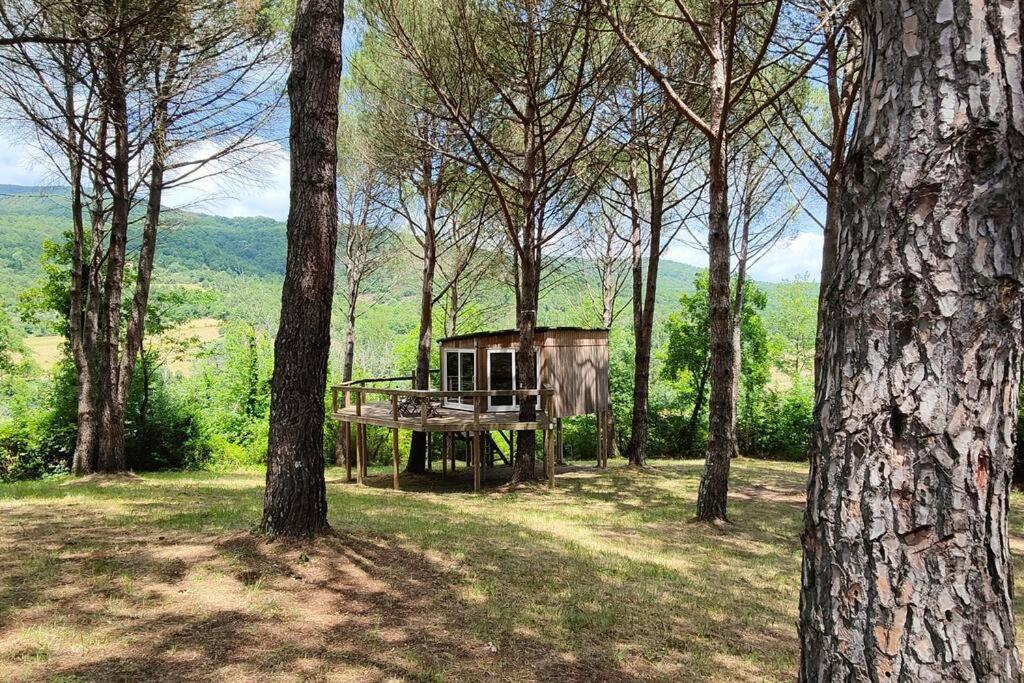 Private villa with extensive gardens and pool view 5