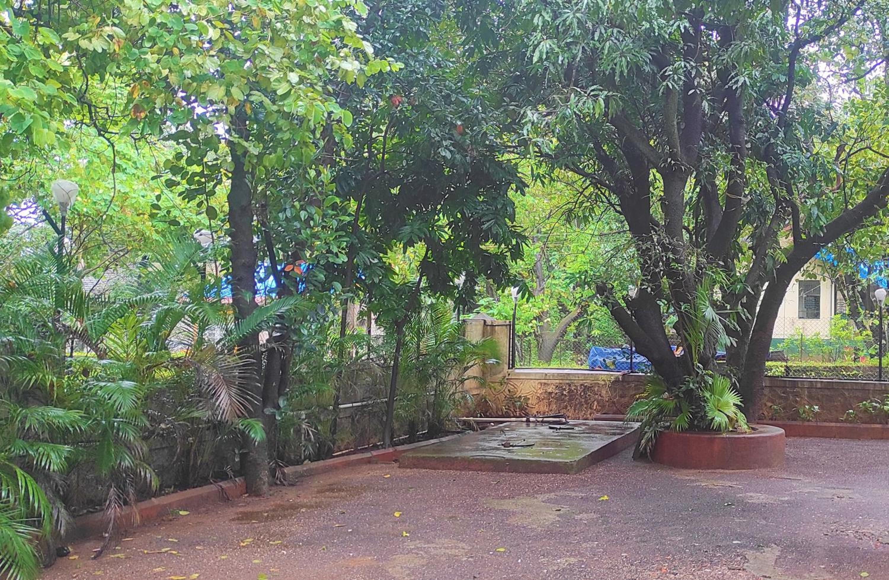 children's play area