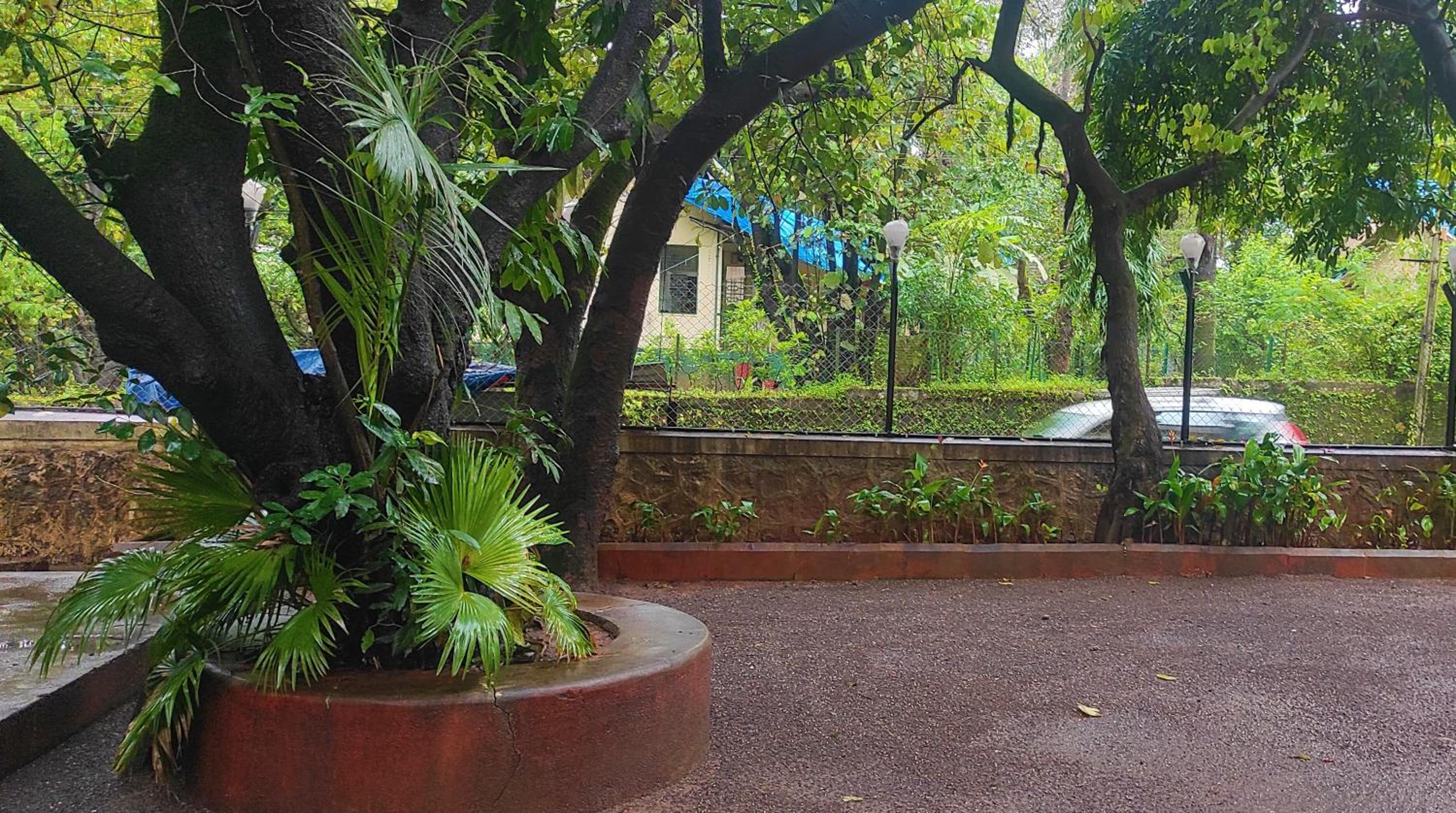 garden