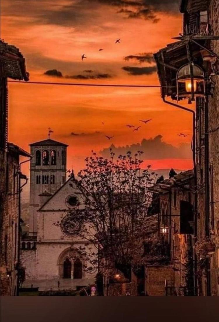 LE DIMORE ARCANGELO Maria photo 3