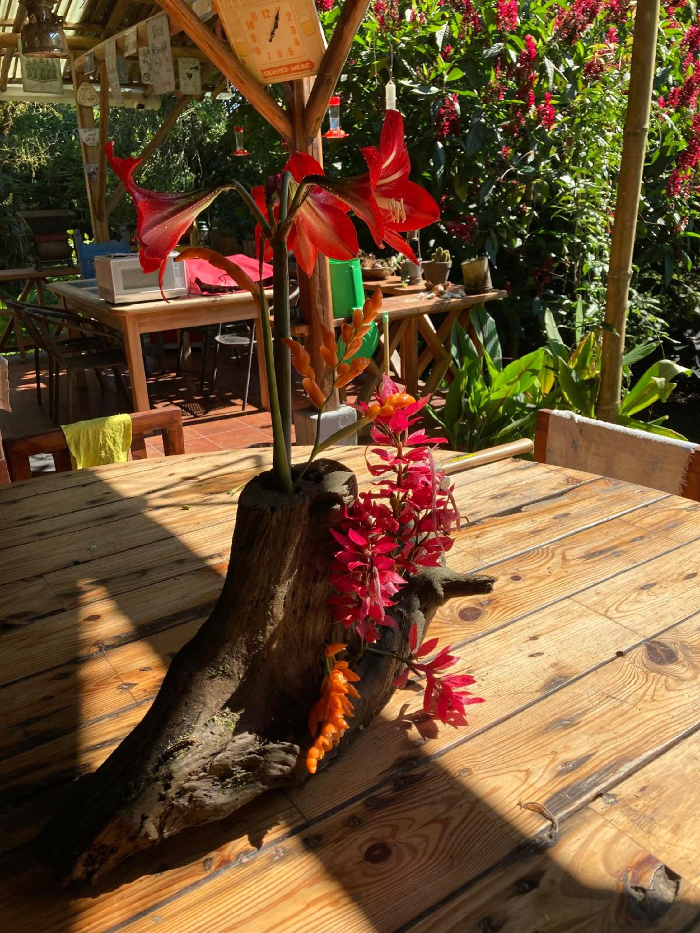 La Providencia Lodge