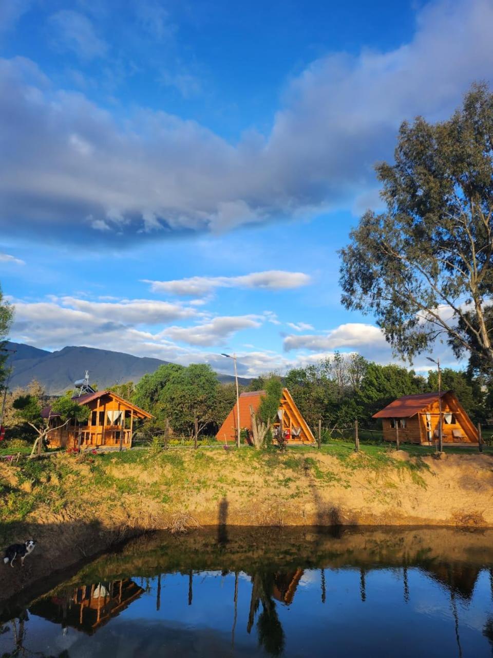 Glamping El Muelle