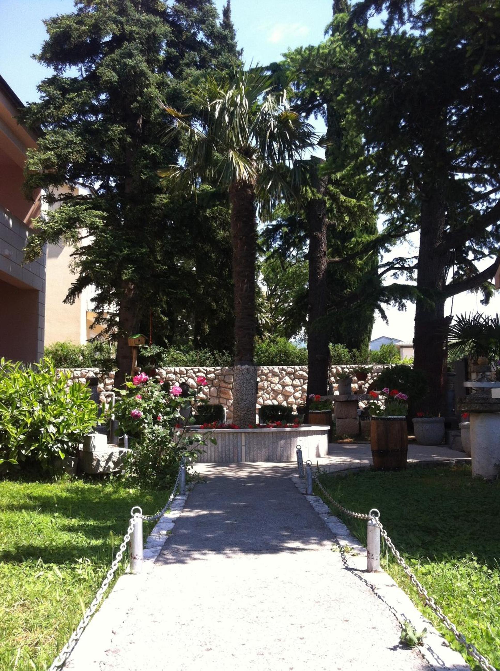 Photo 11