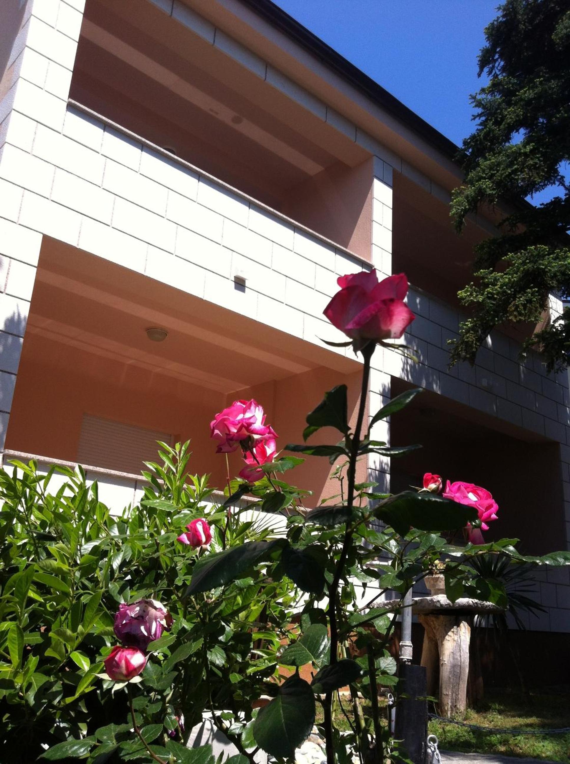 Photo 37