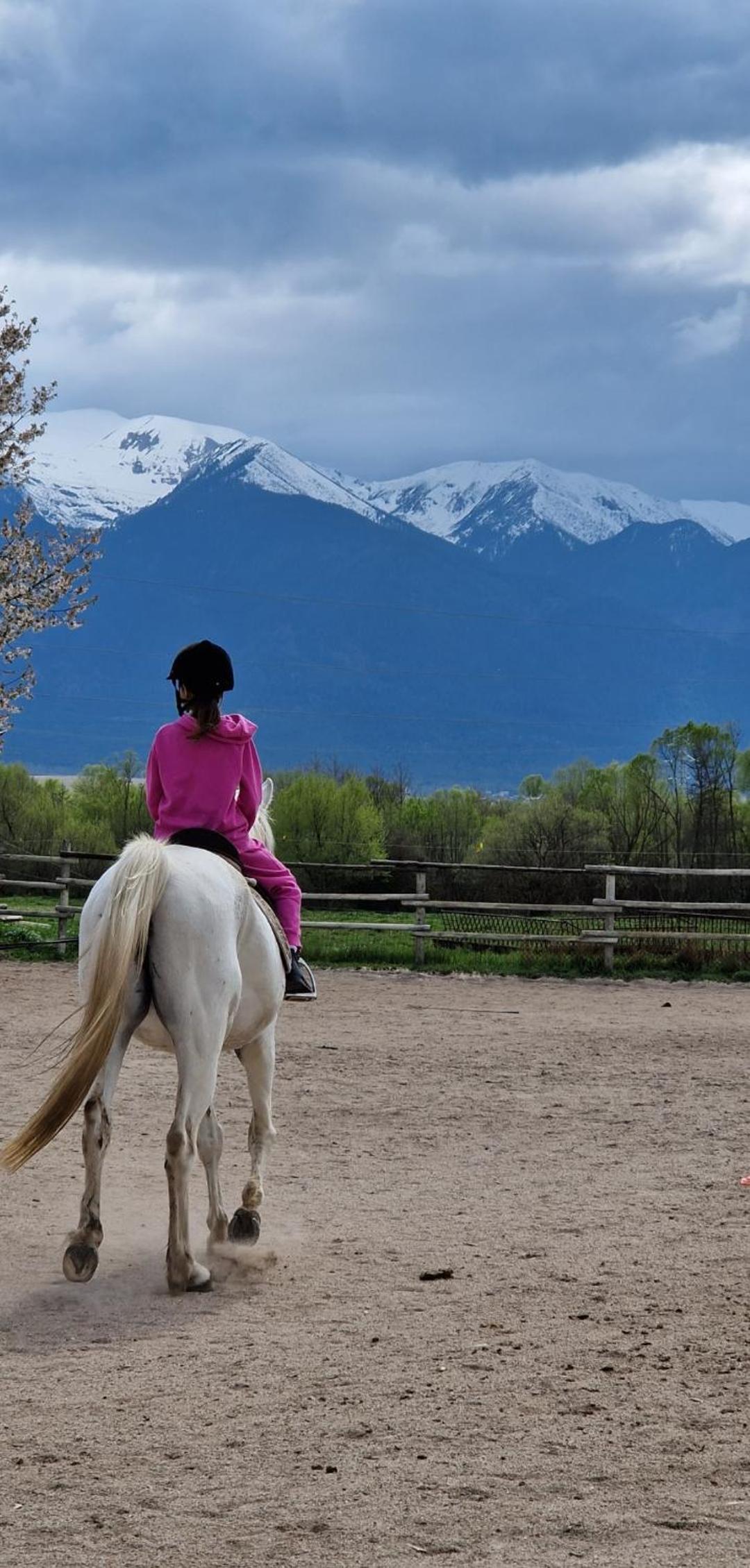 Green life, Bansko, private studio c-17