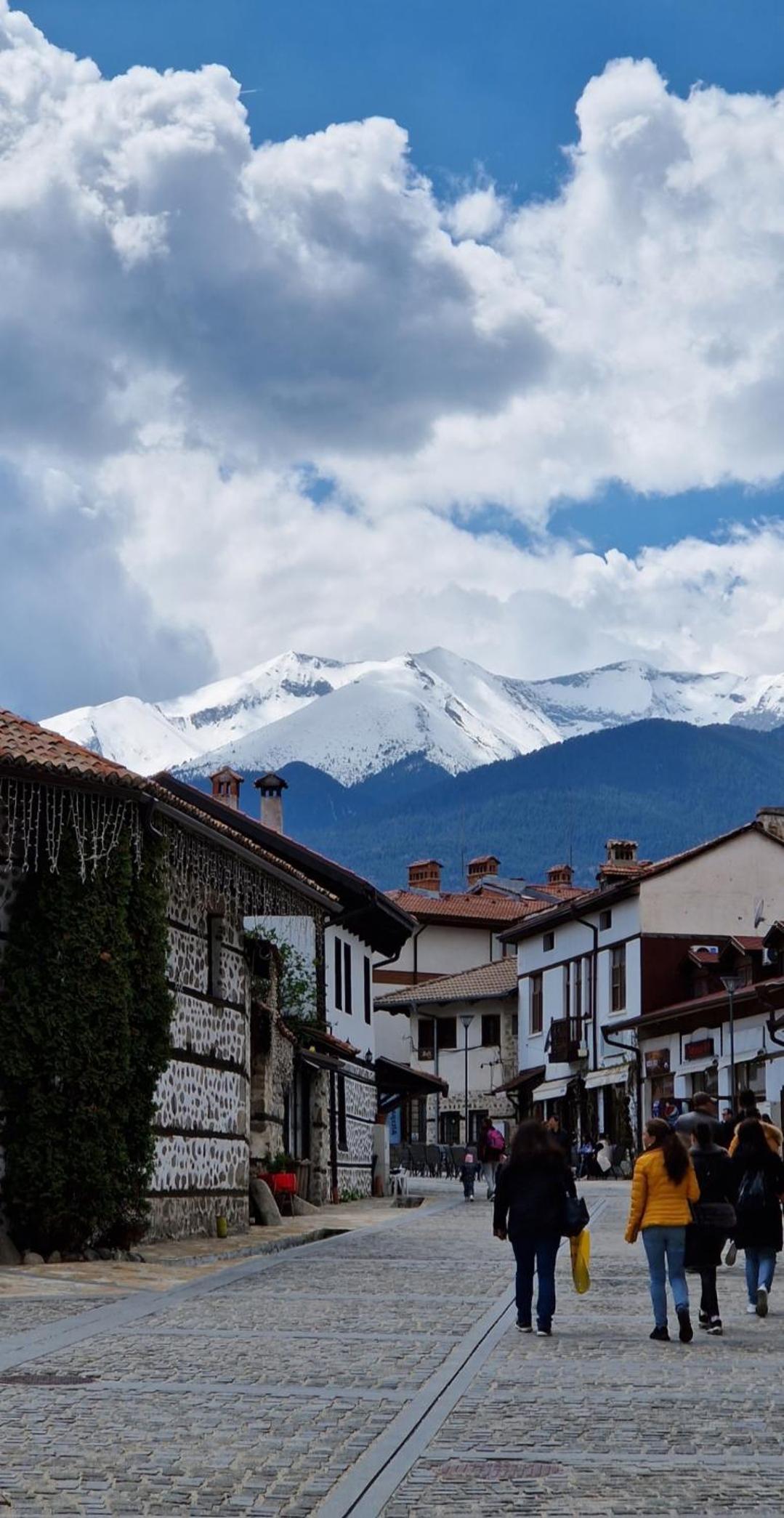 Green life, Bansko, private studio c-17