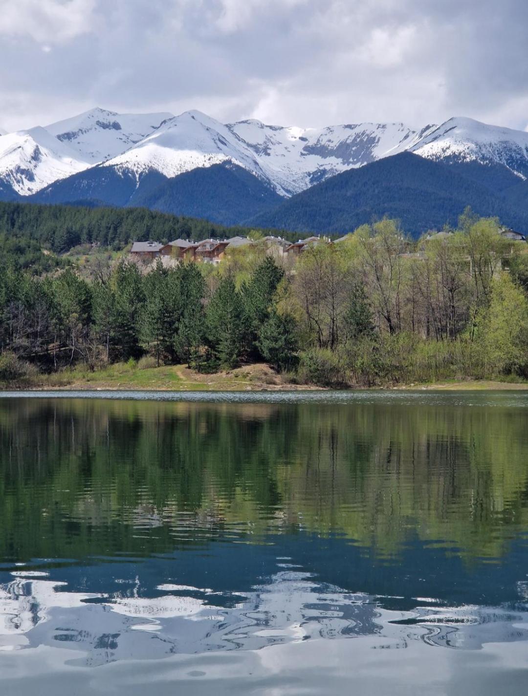 Green life, Bansko, private studio c-17