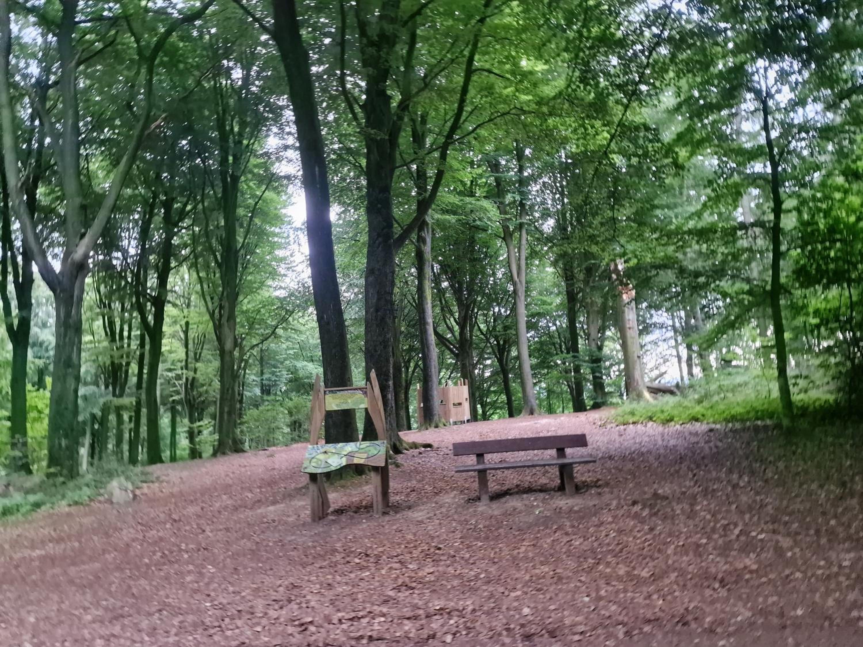 B&B Le Reclus, photo 26