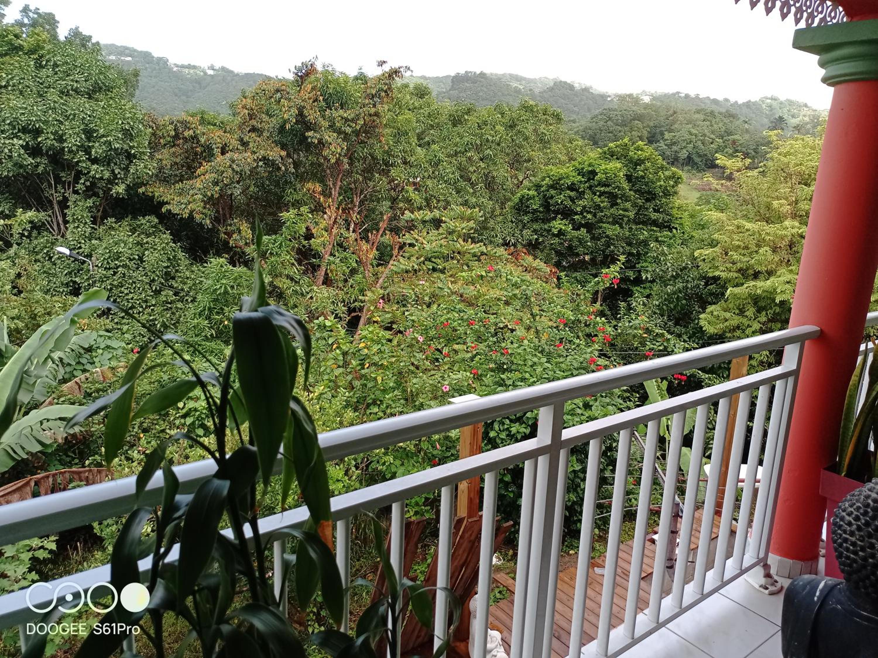 La maison créole view 5