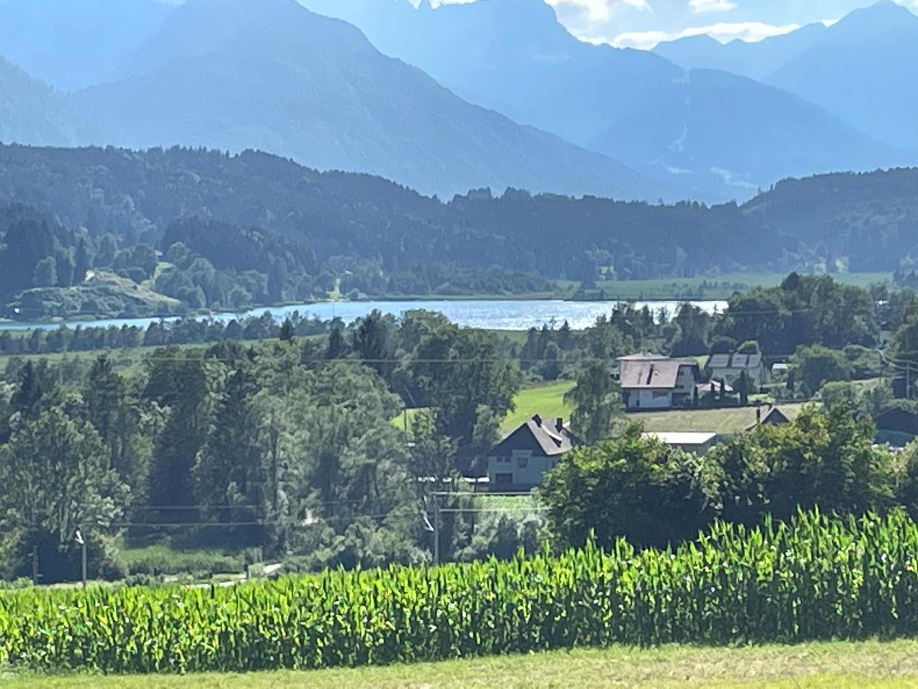 Haus Silverfern