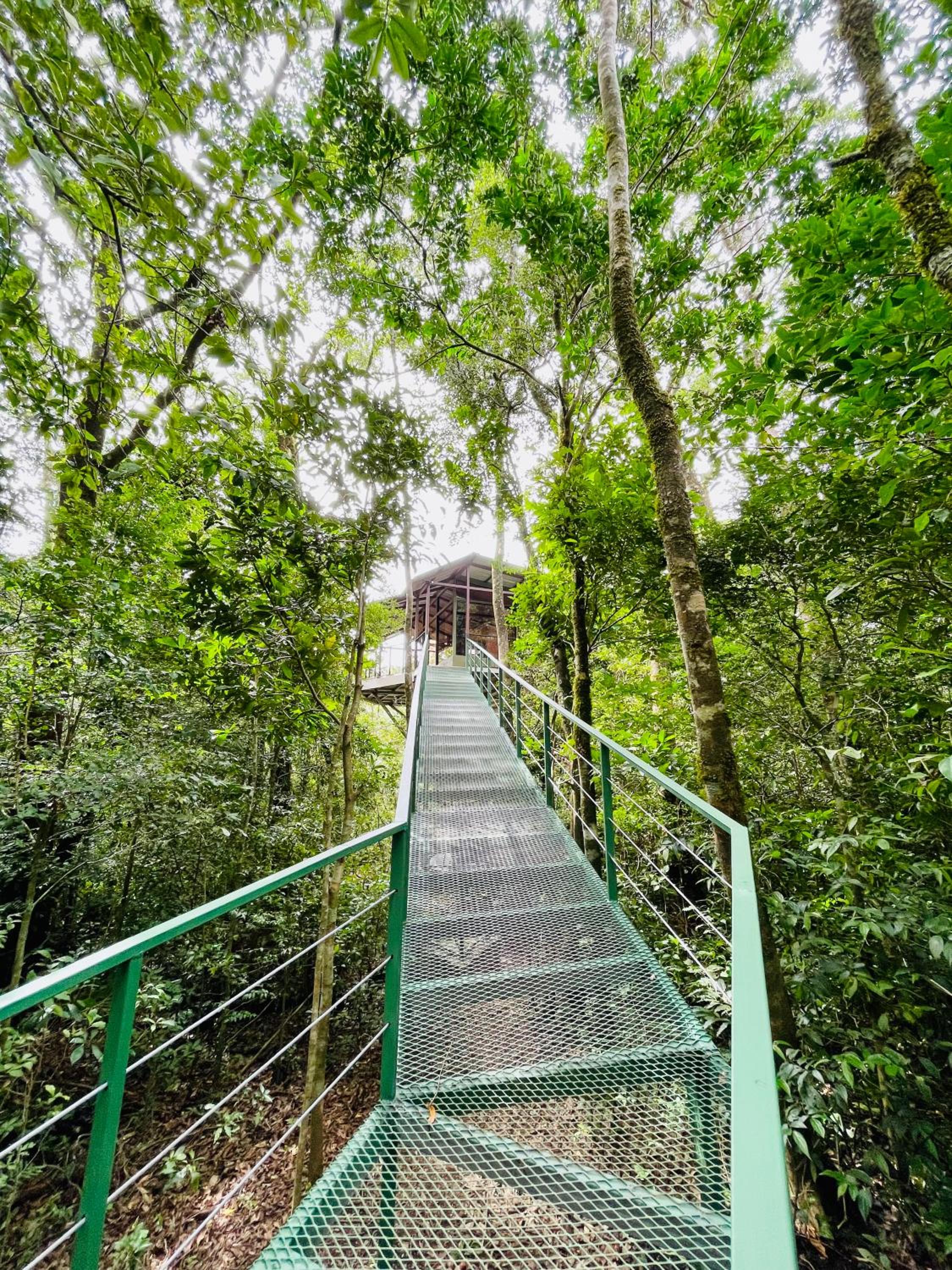 Cabañas La Montaña