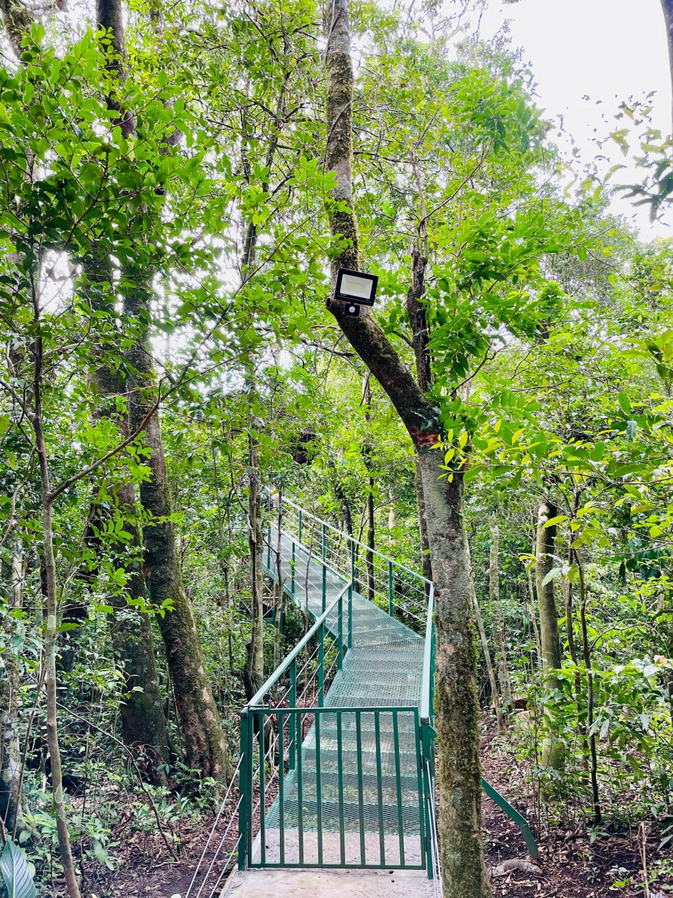 Cabañas La Montaña