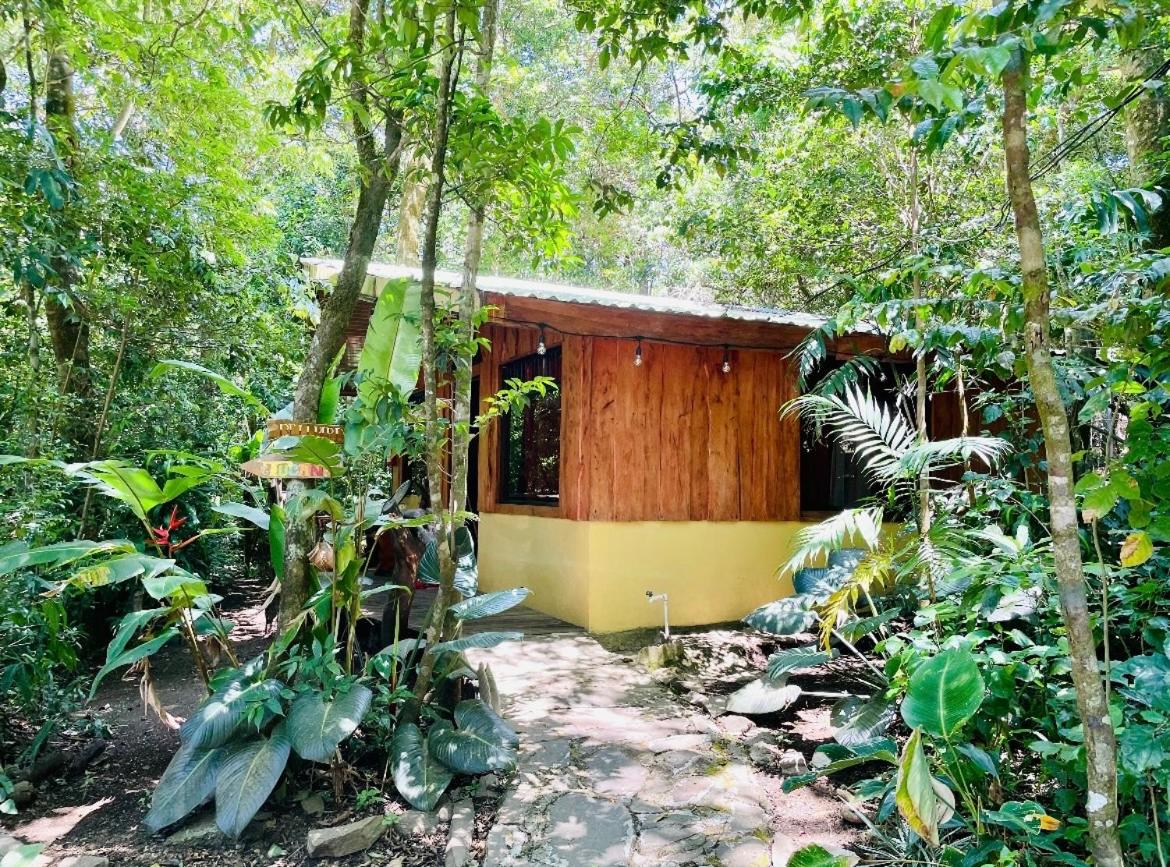 Cabañas La Montaña