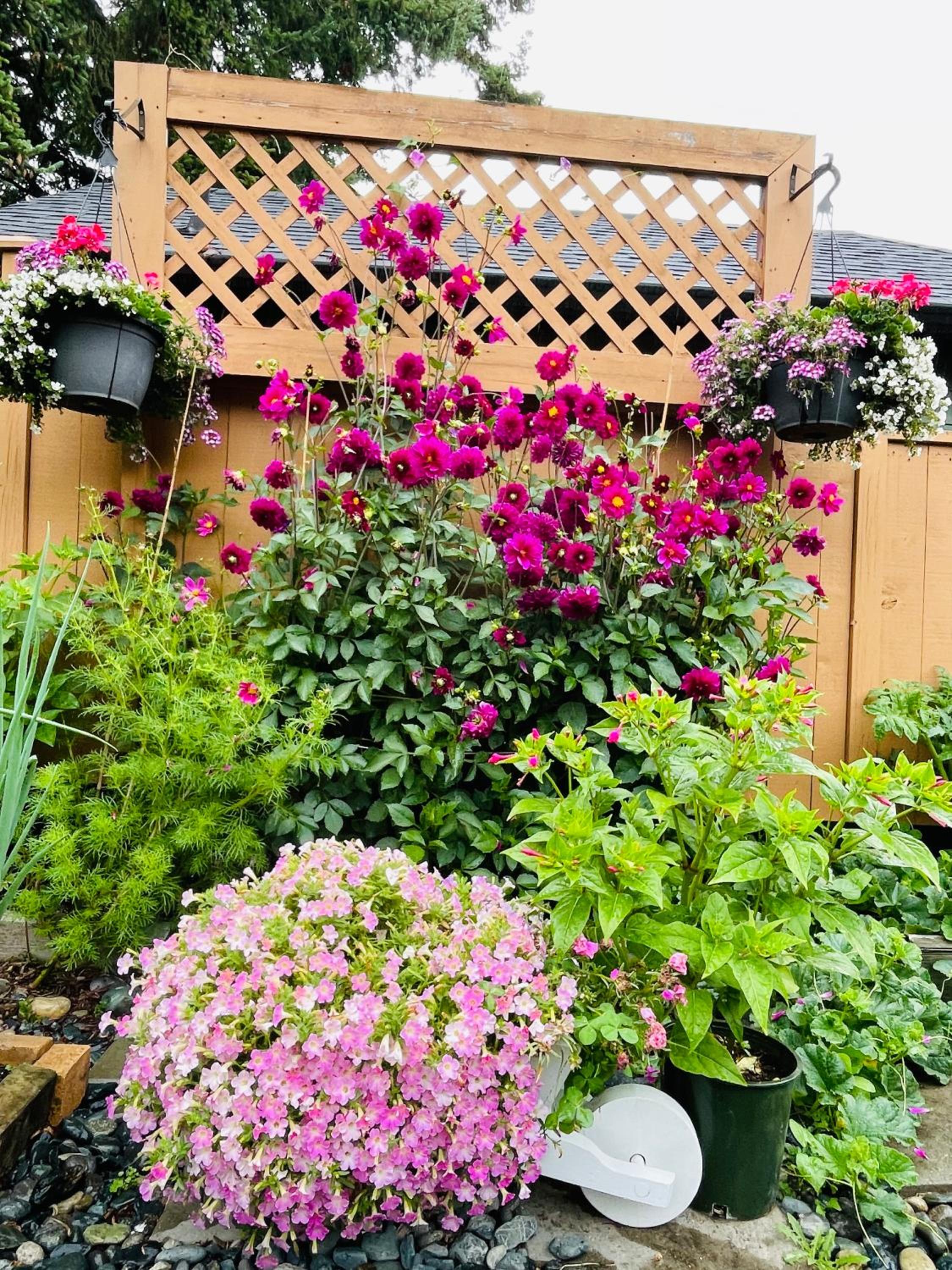 Garden home in Victoria