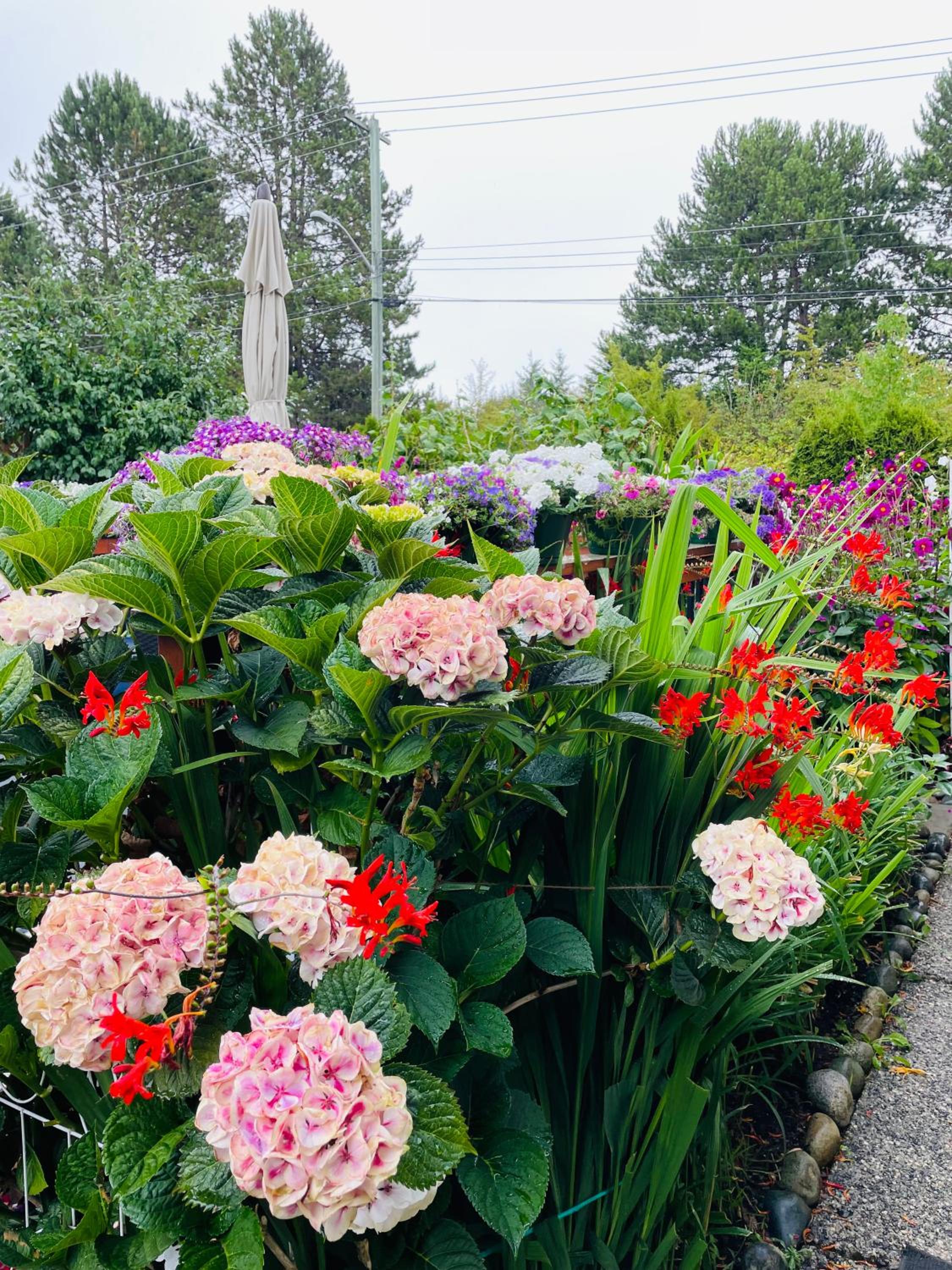 Garden home in Victoria