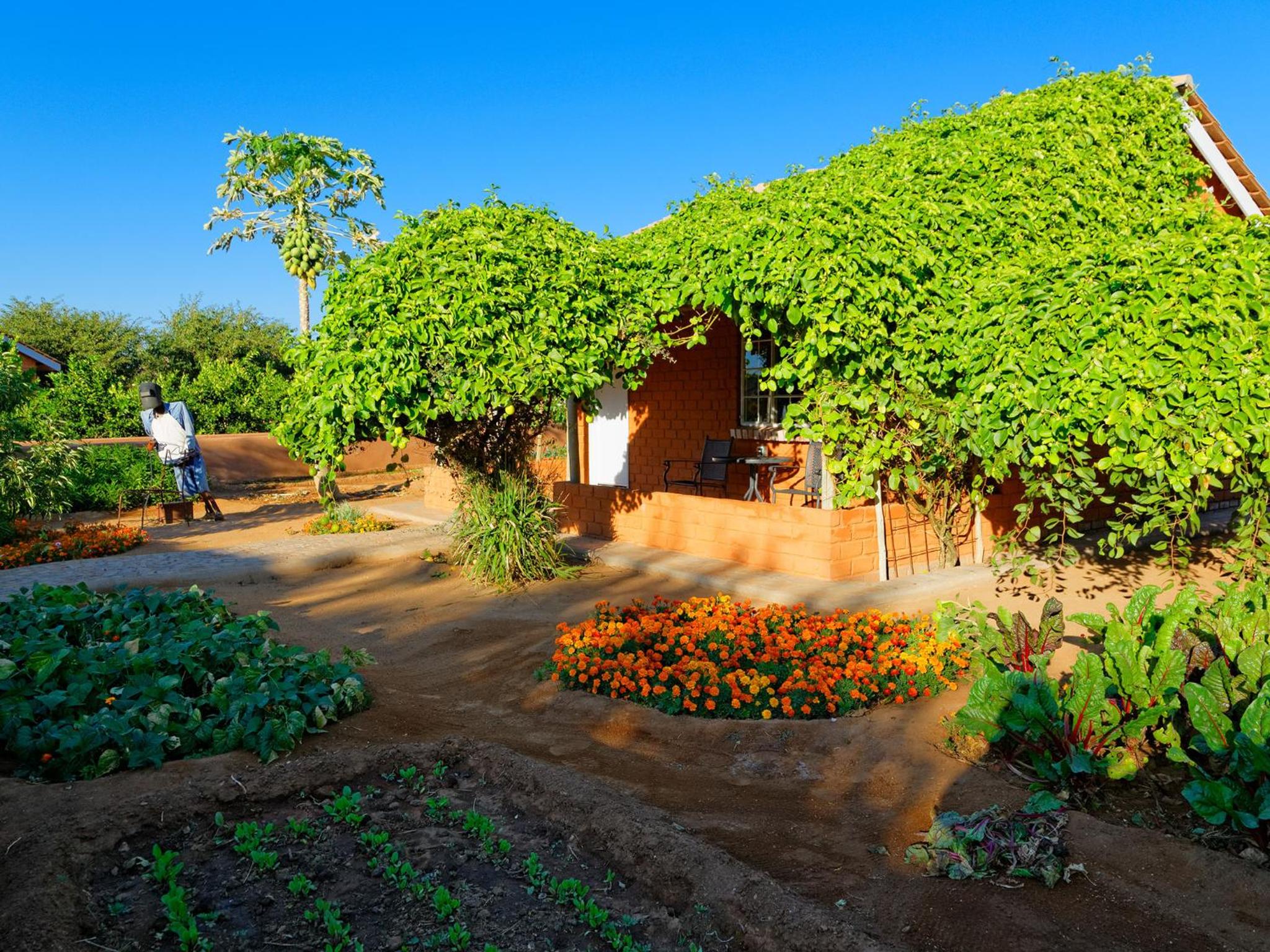 Gondwana Damara Mopane Lodge view 4