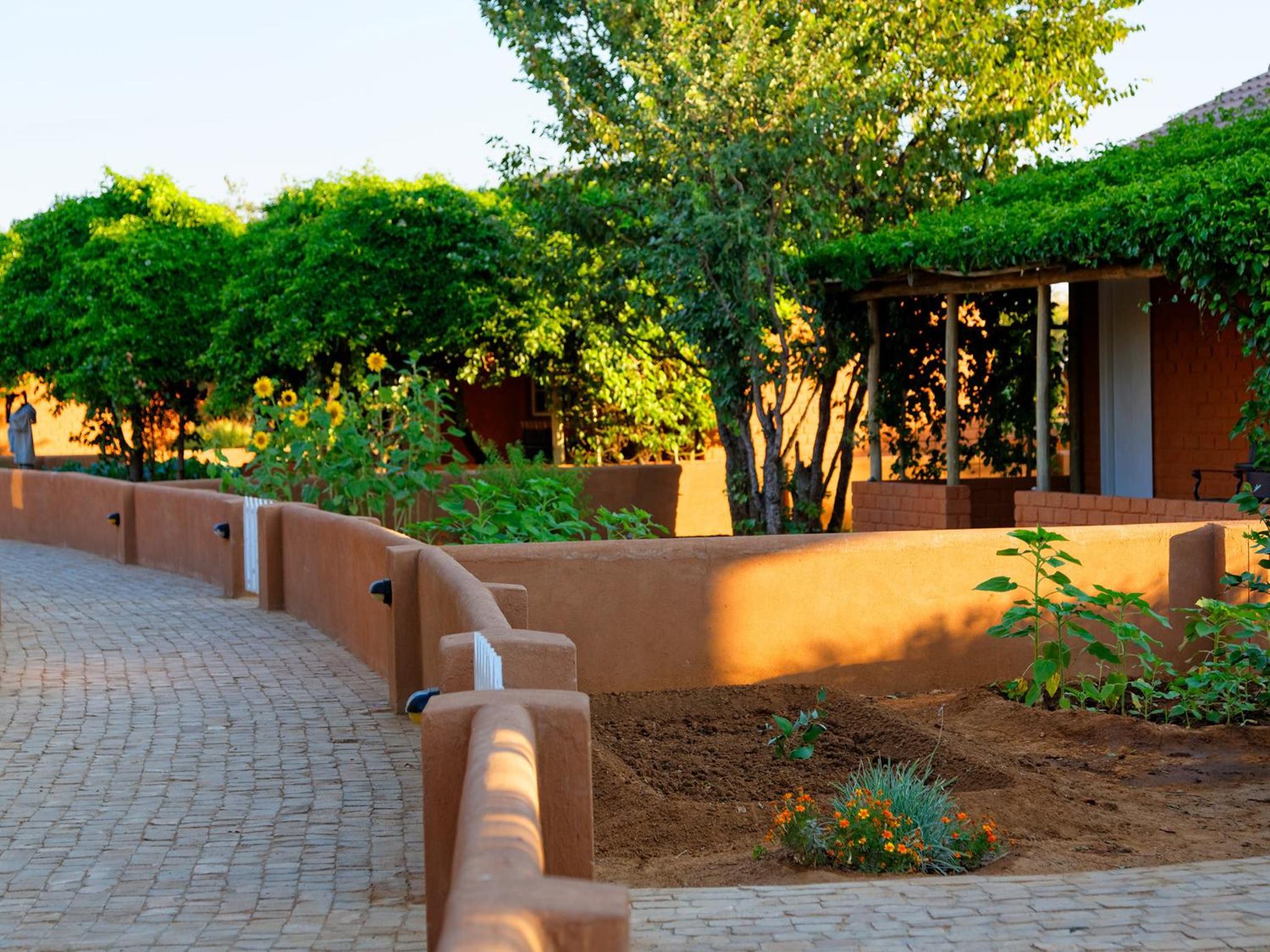 Gondwana Damara Mopane Lodge view 5