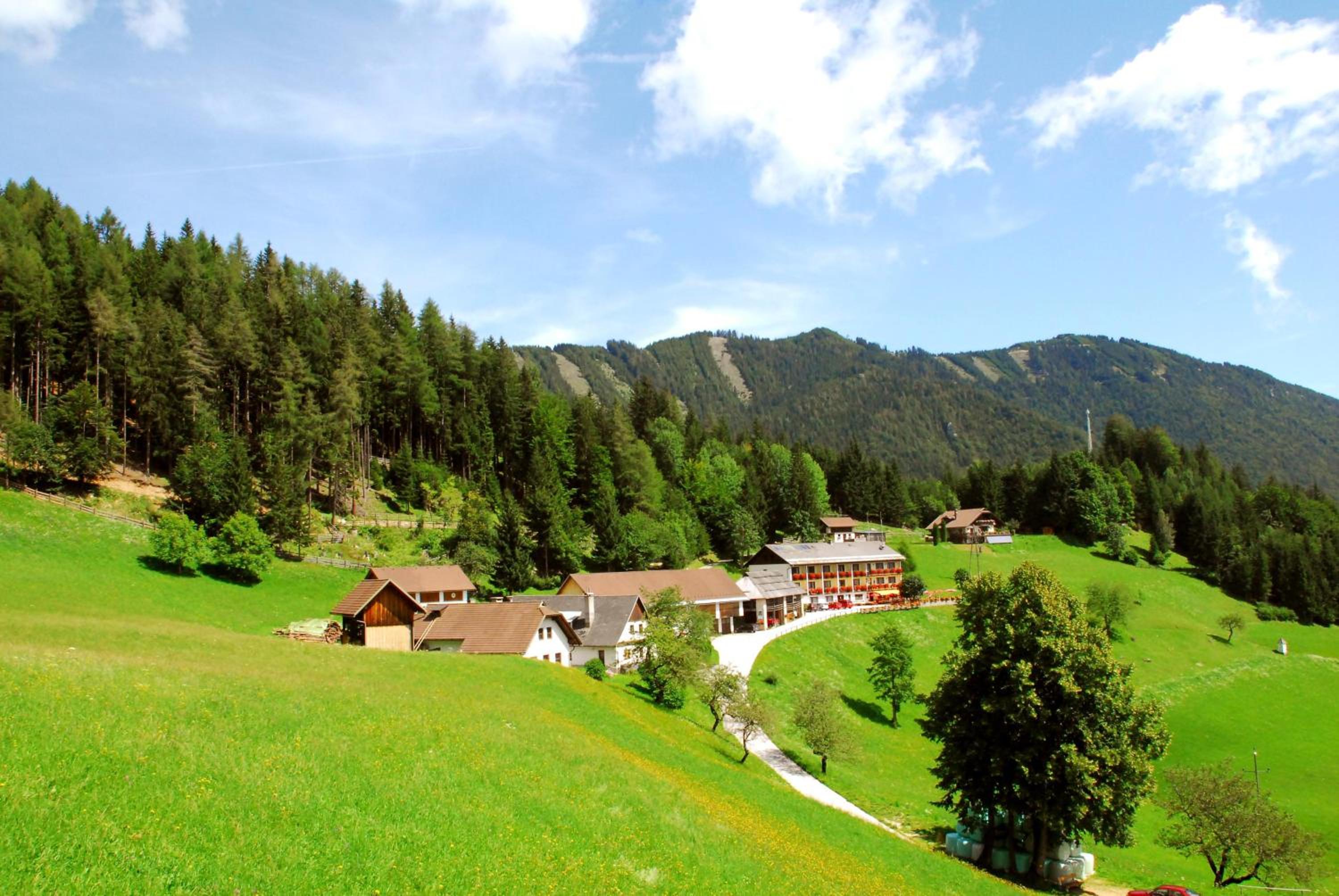 Bed&Breakfast Lausegger