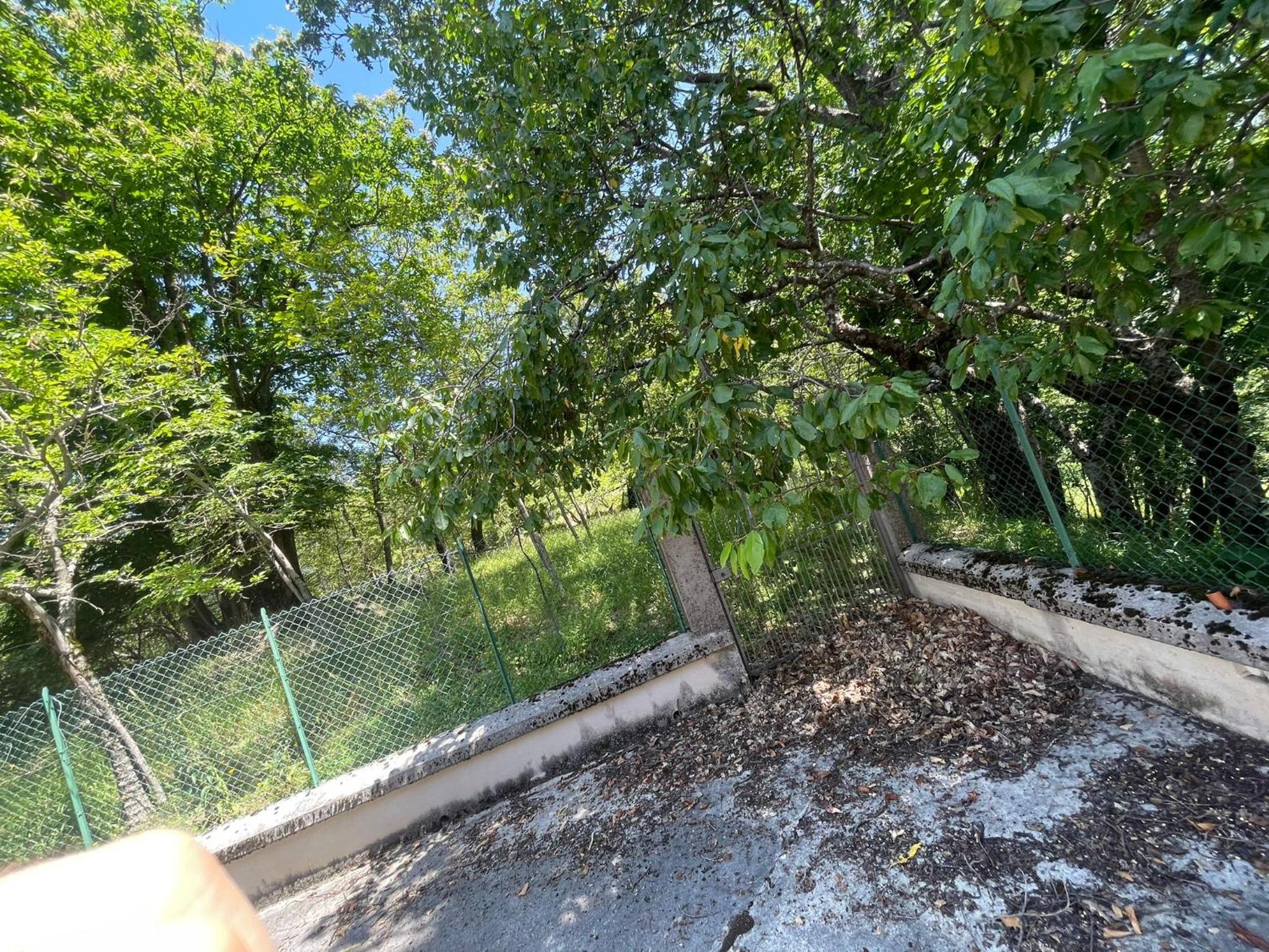 la casa nel bosco view 5