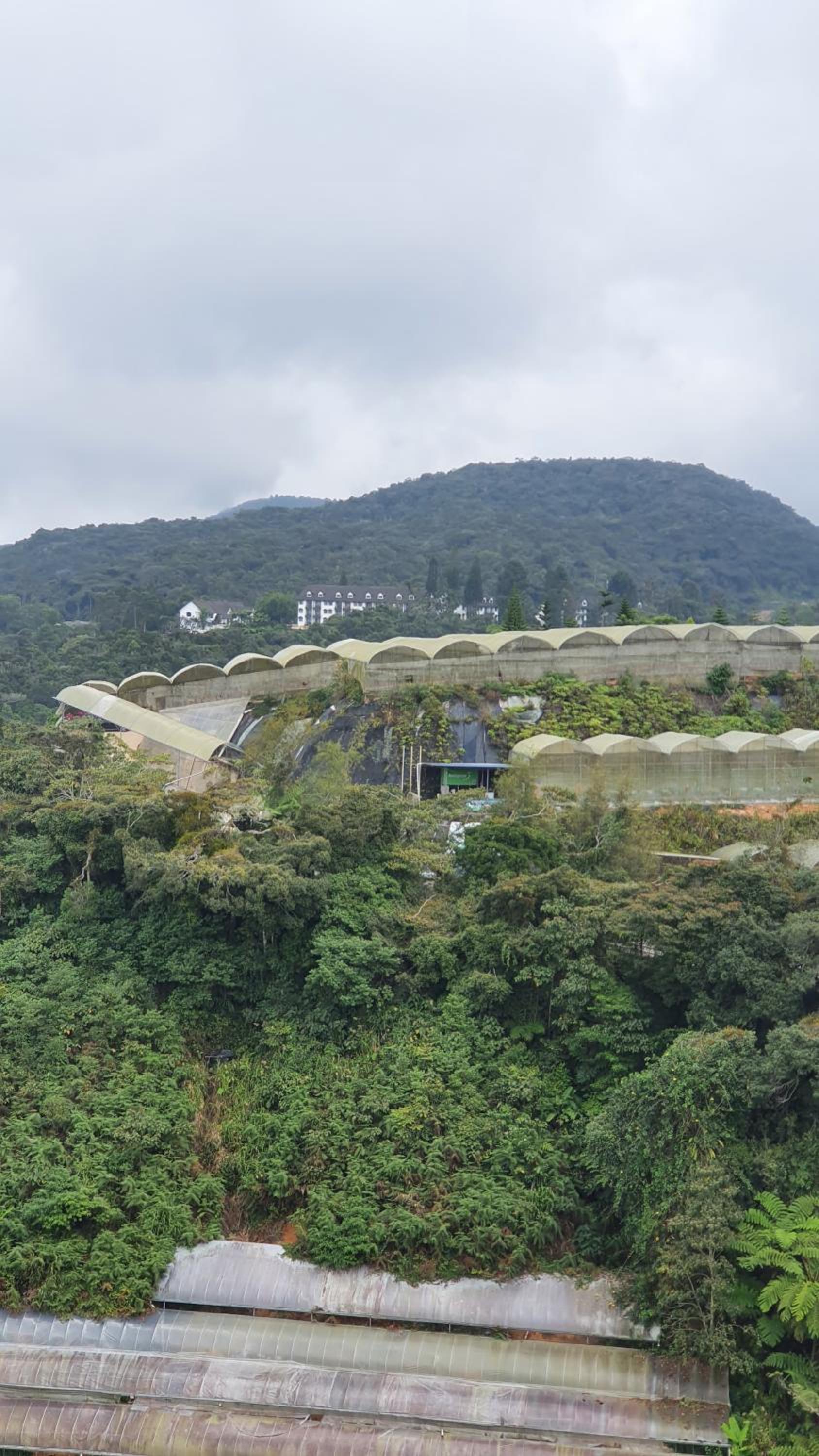 Brinchang Cameron Highlands Homstay photo 4