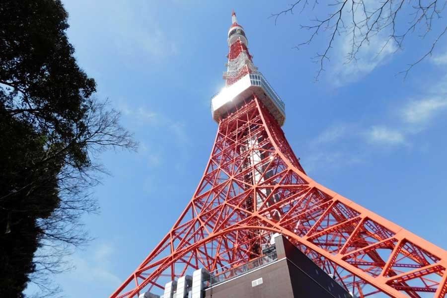 Regalo shibaura 801