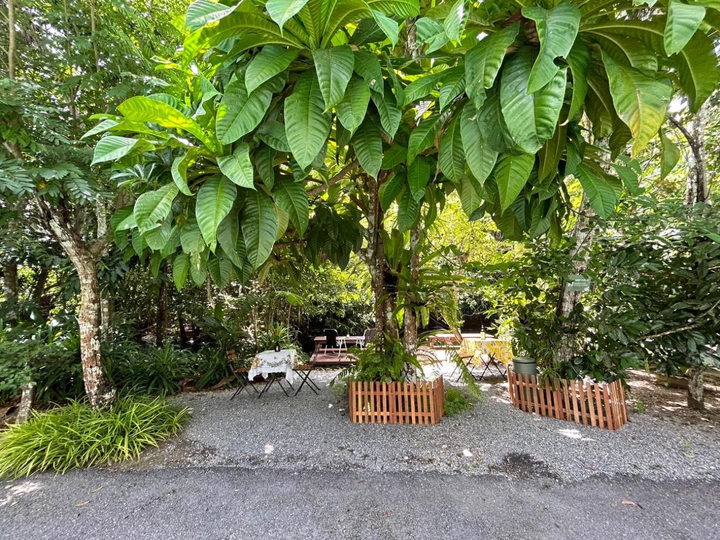 Blu Monkey Pooltara Krabi Hotel & Villas Pet Friendly