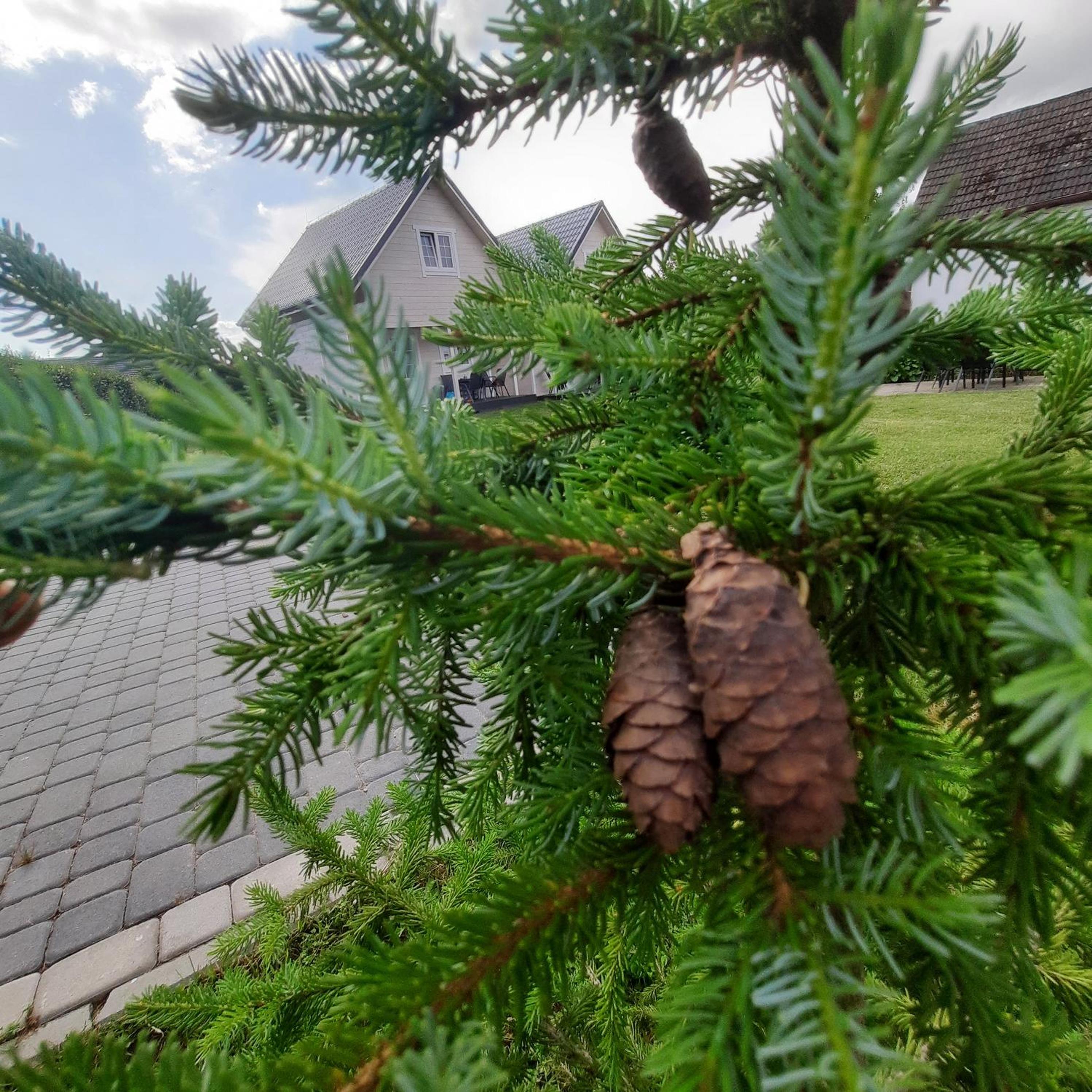Na Spokojnej Rodzinne Wakacje