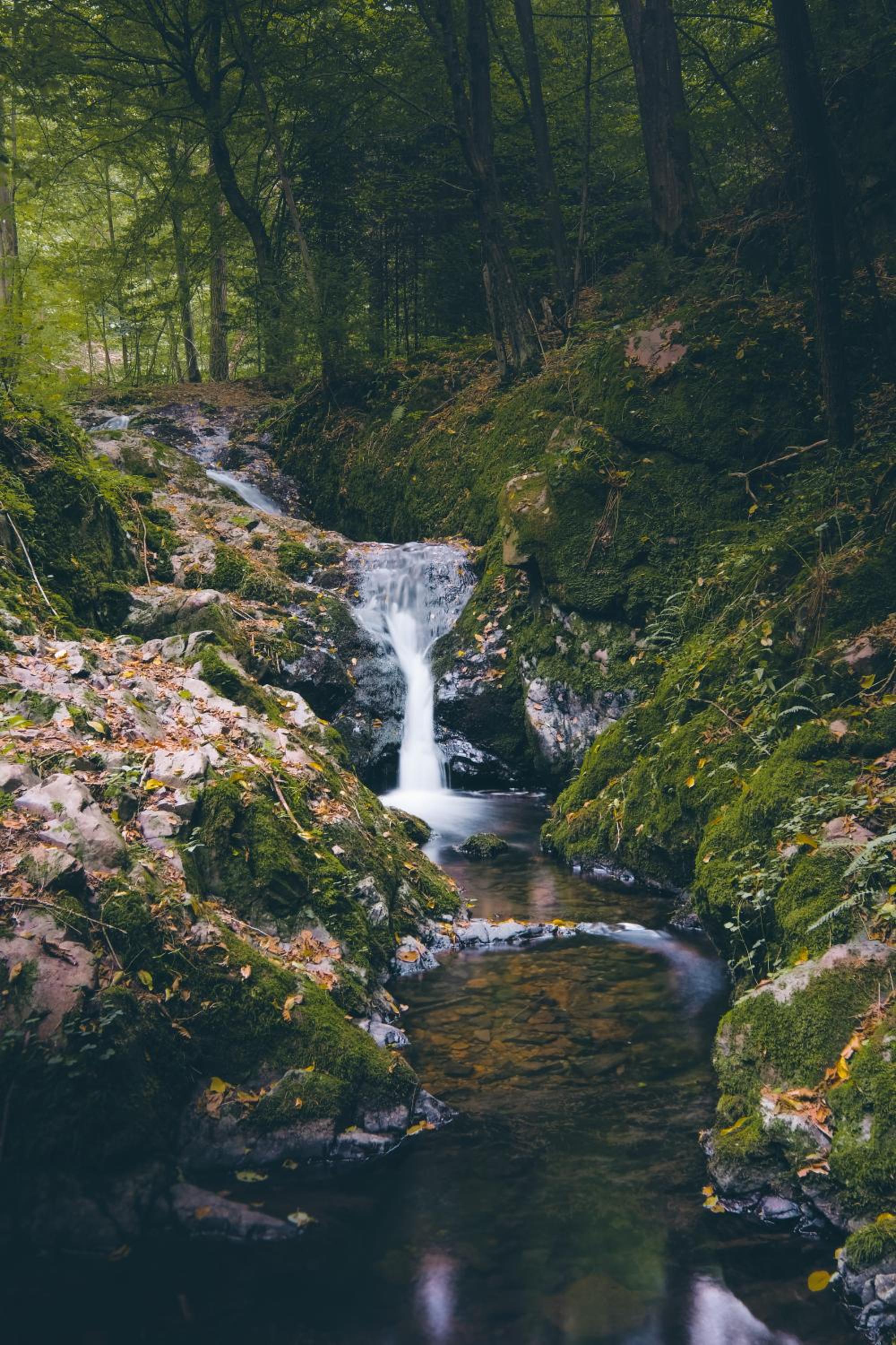 Domeček na Květinovém statku