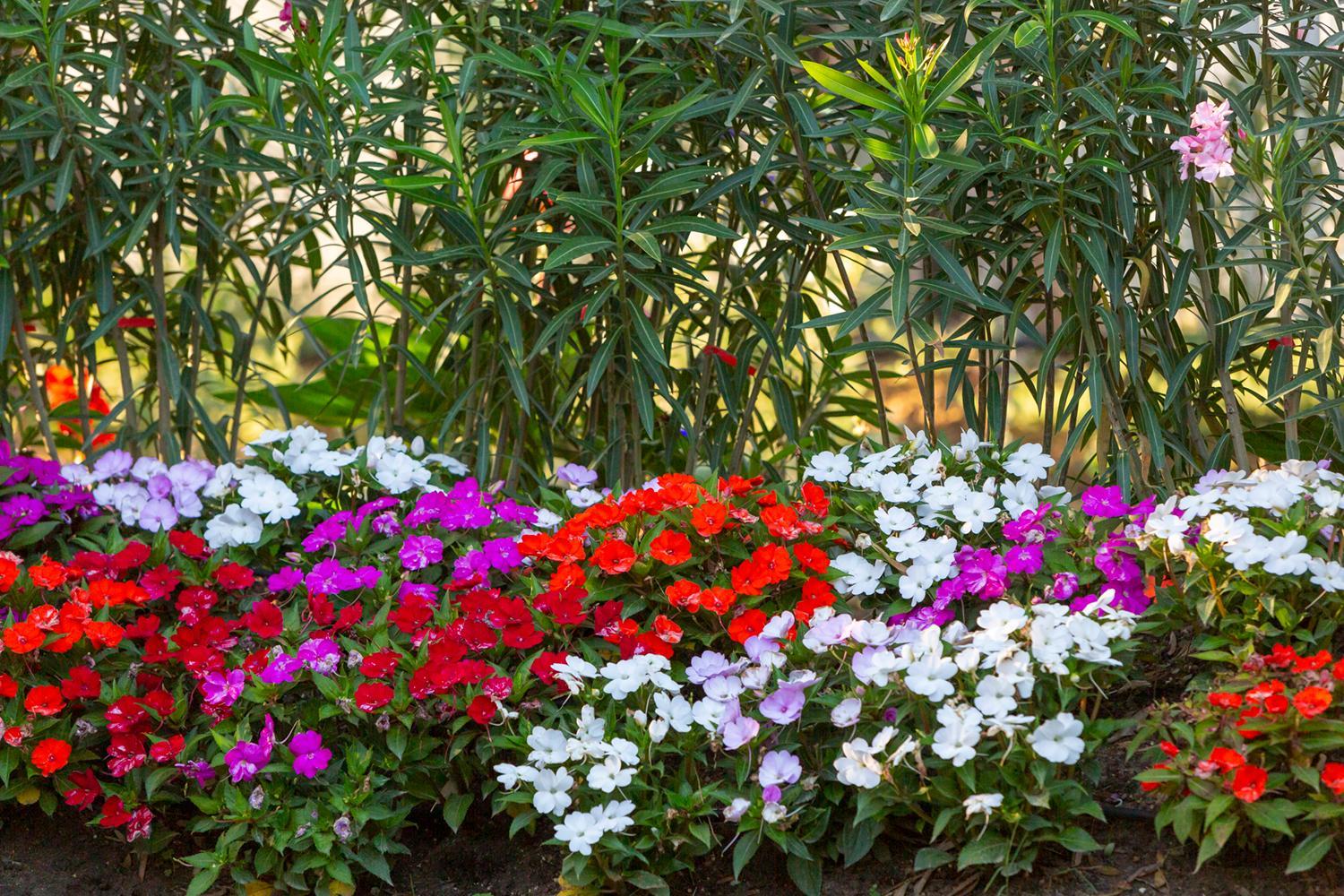 Dunas Luxury Beach Resort Tarifa