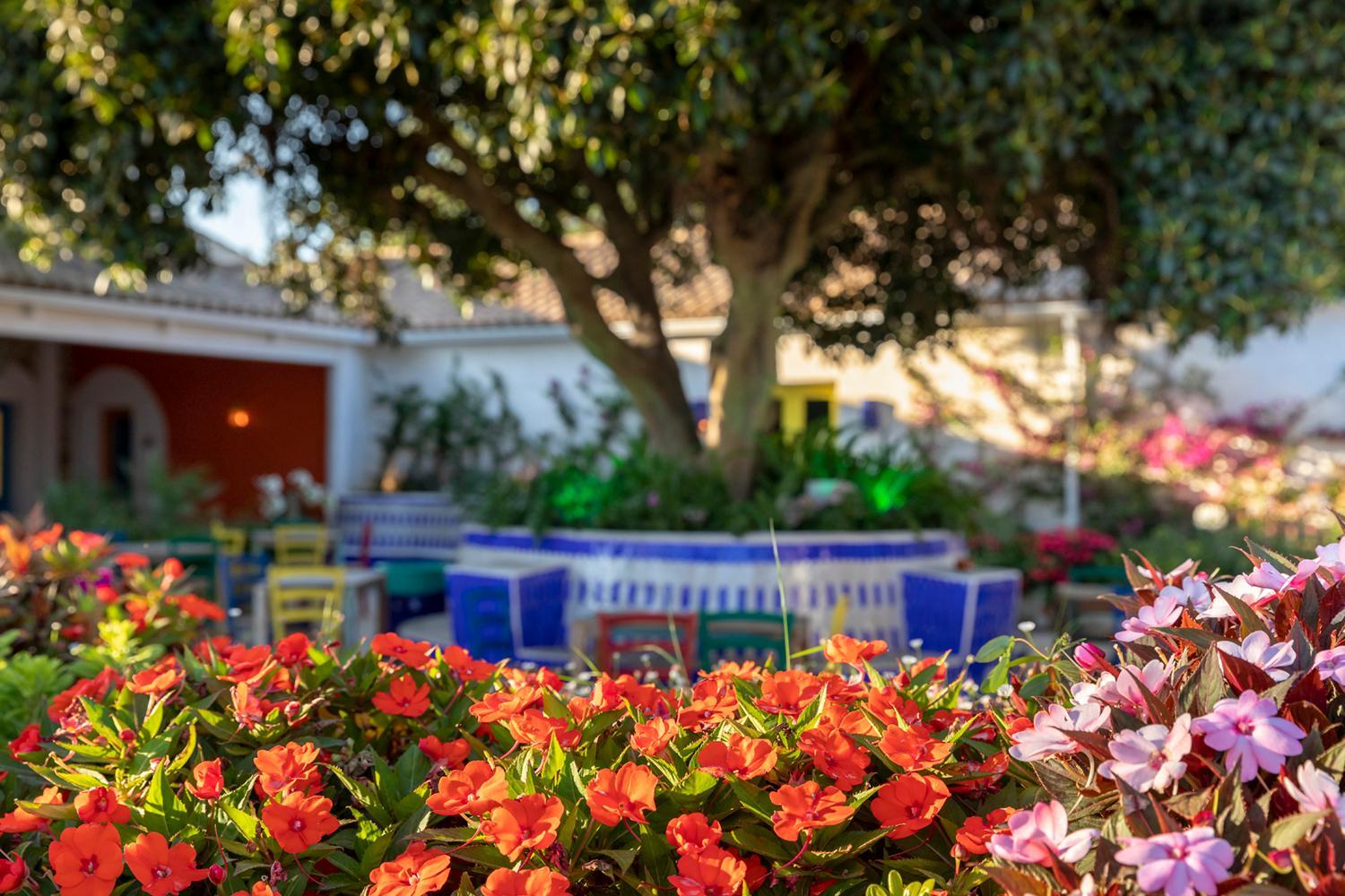 Dunas Luxury Beach Resort Tarifa