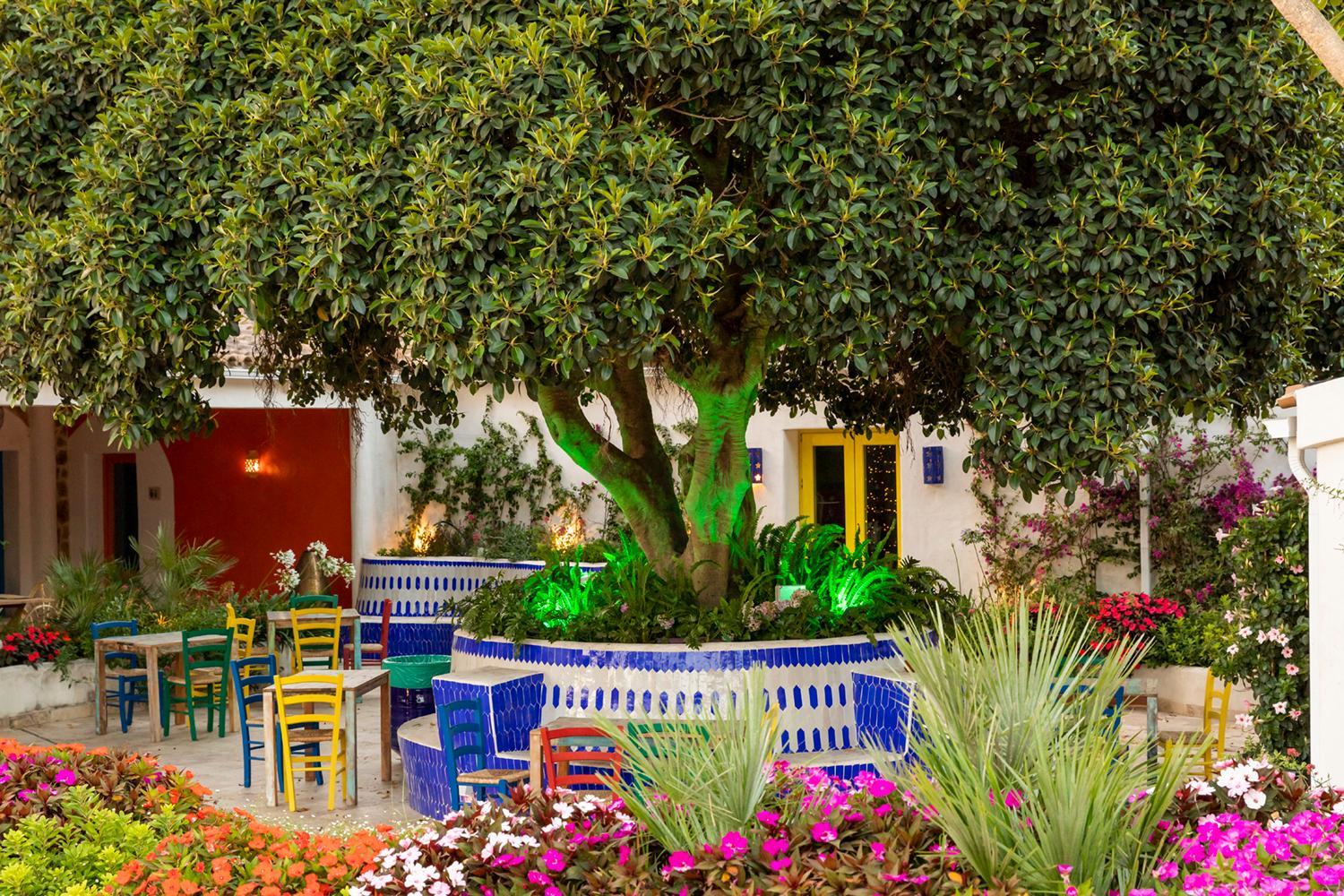Dunas Luxury Beach Resort Tarifa