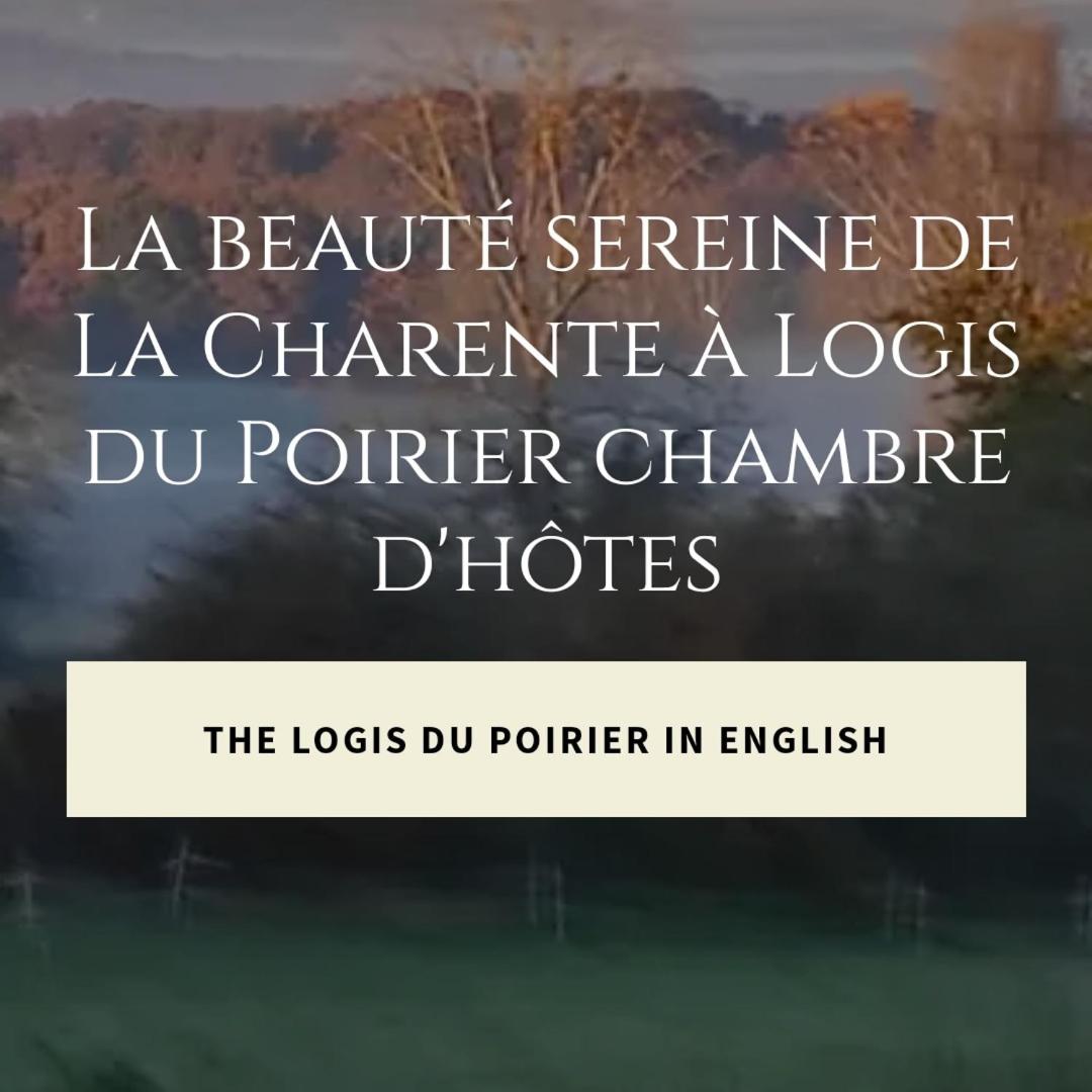 Photo 100