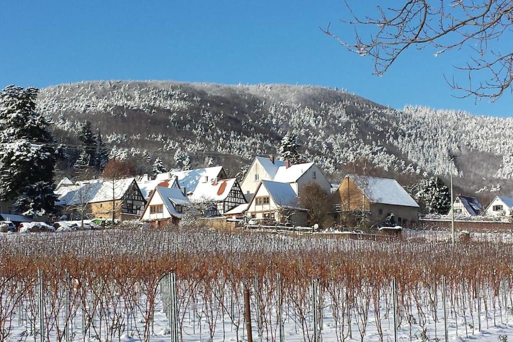 Traumblick Rebenmeer