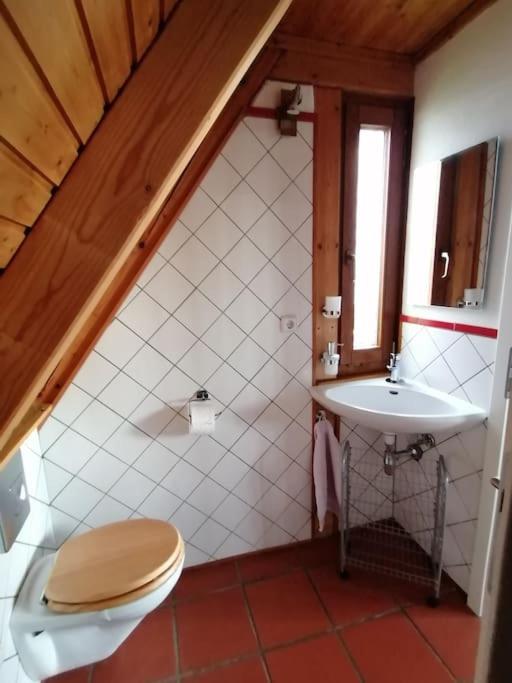 Traumblick Rebenmeer