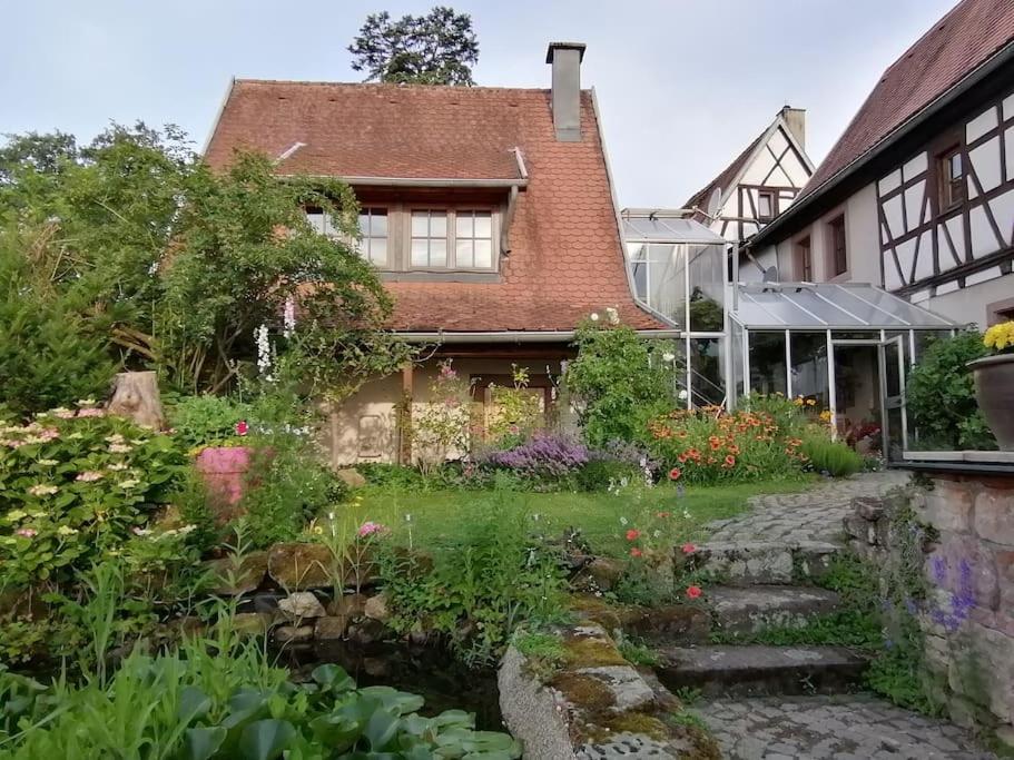 Traumblick Rebenmeer