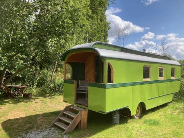 Ecostay de Wildernis