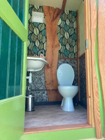 Ecostay de Wildernis