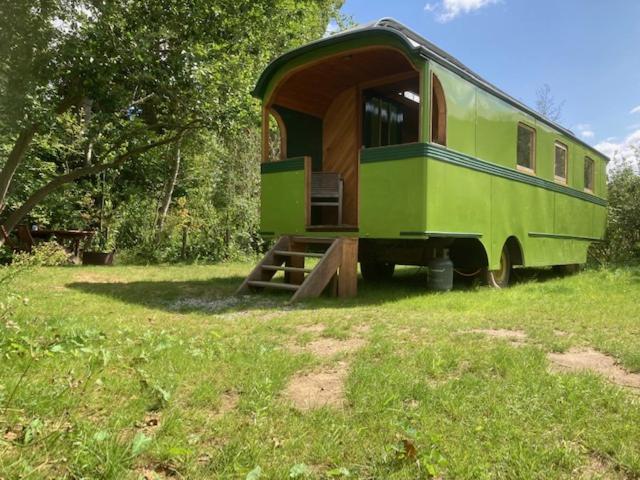 Ecostay de Wildernis