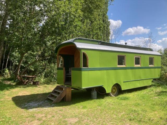 Ecostay de Wildernis