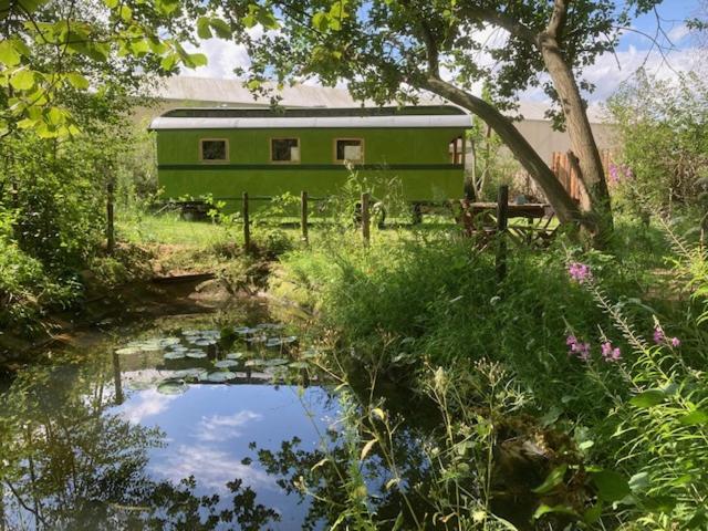 Ecostay de Wildernis