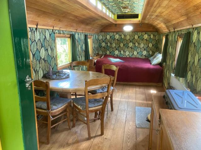 Ecostay de Wildernis