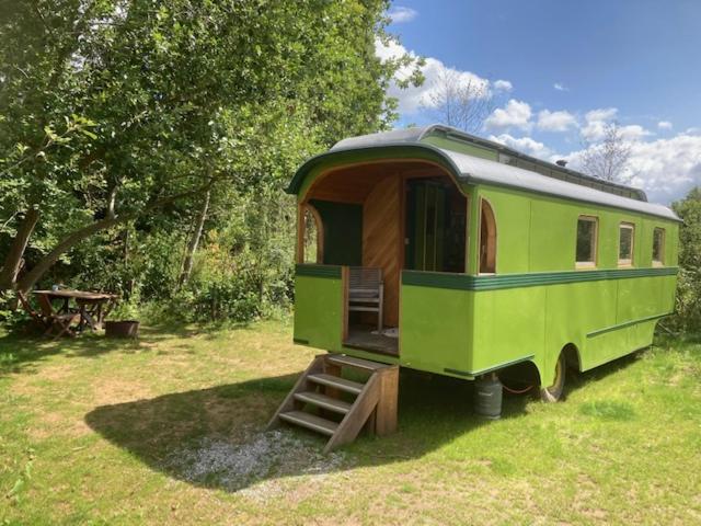 Ecostay de Wildernis