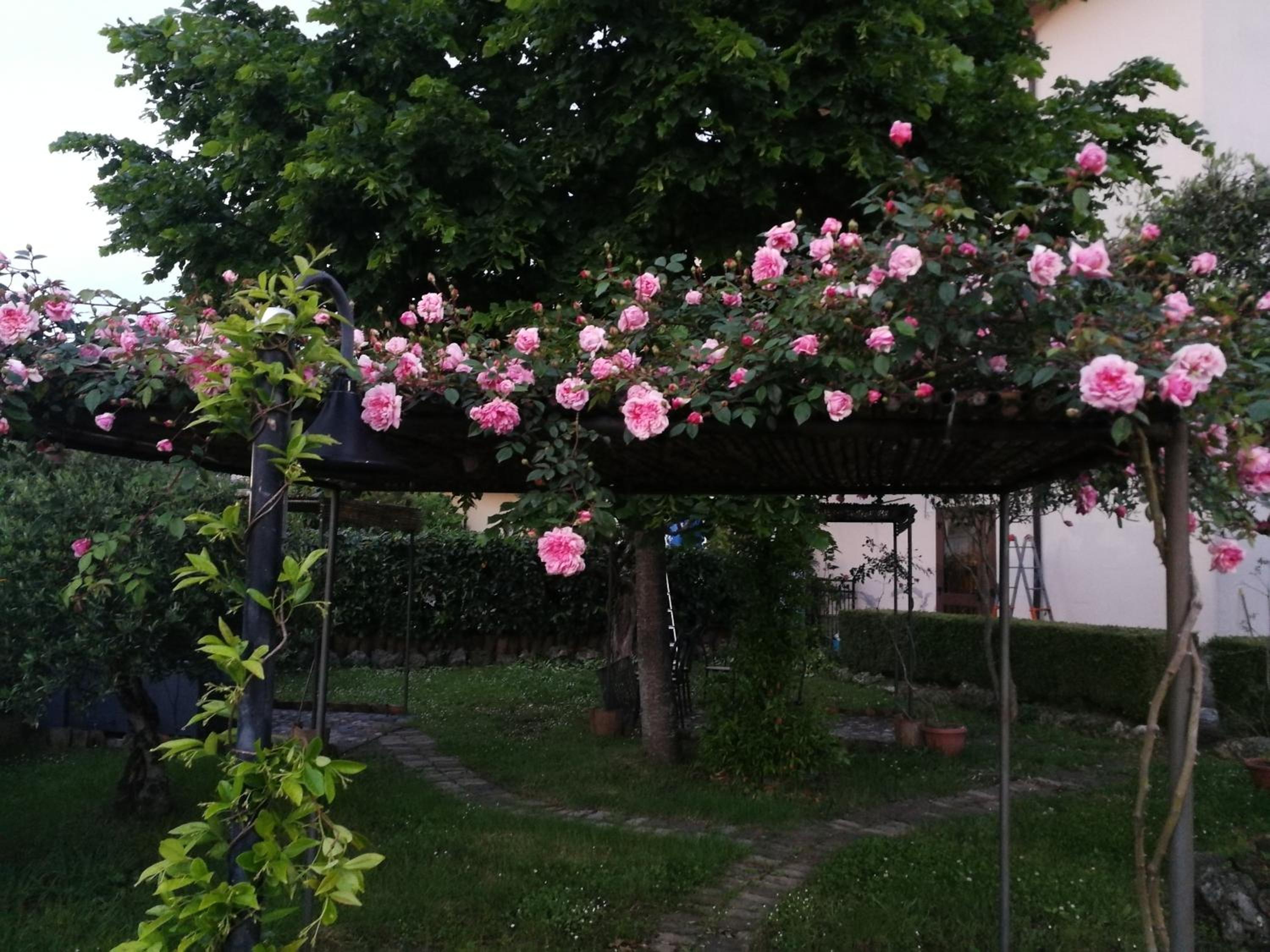 Happy Family B&B view 2