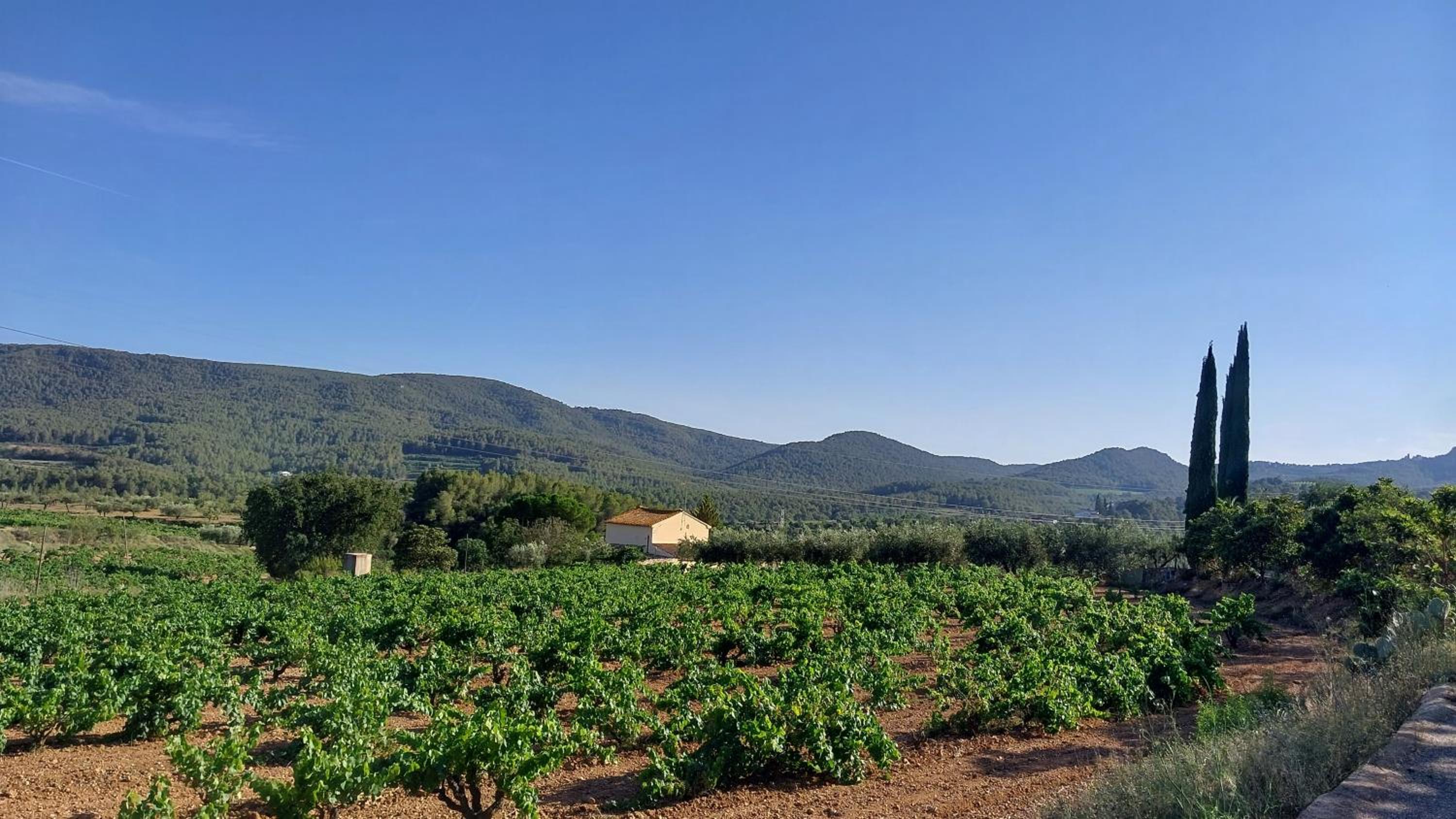 Casa Rural Cal Martí