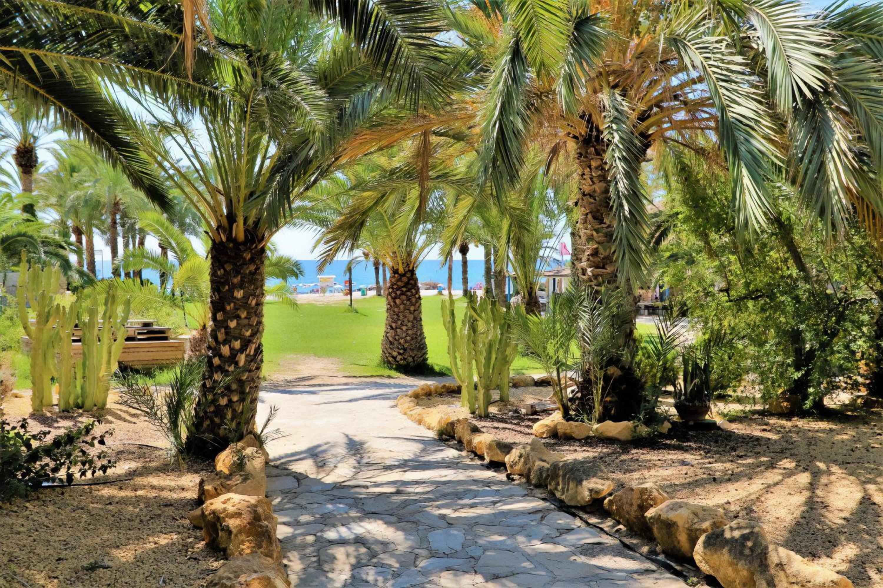 Eurotennis 4 Paradise Beach Apartments