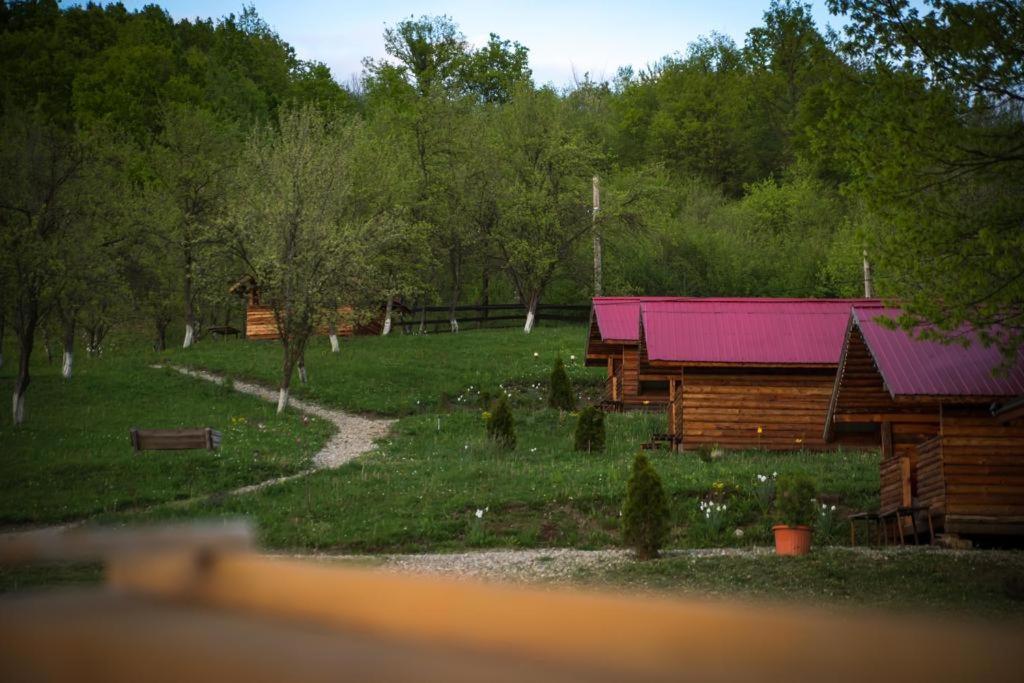 Photo 45