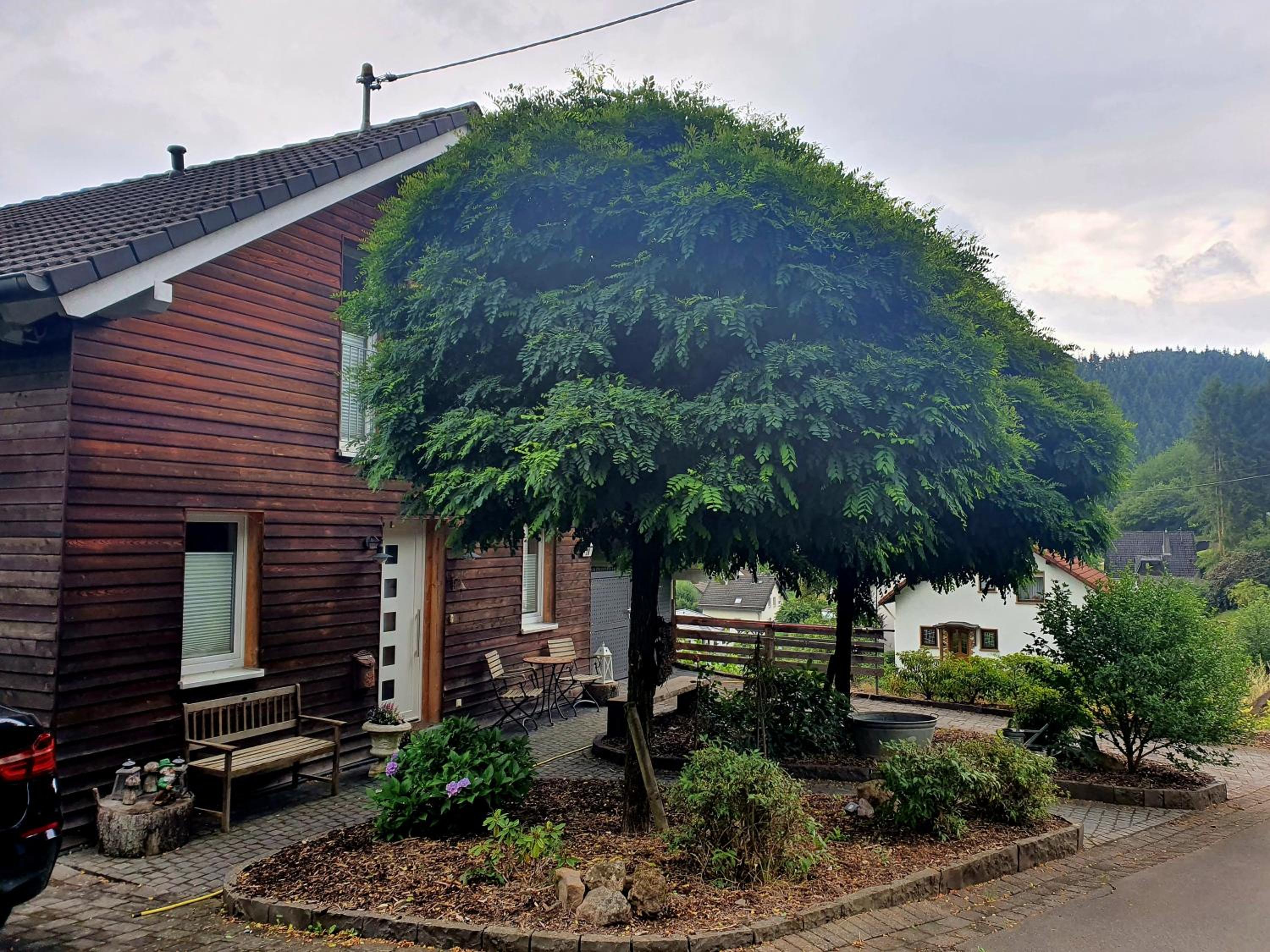 Romantic and Cosy Studio with Lake View in Meerfeld Eifel Region