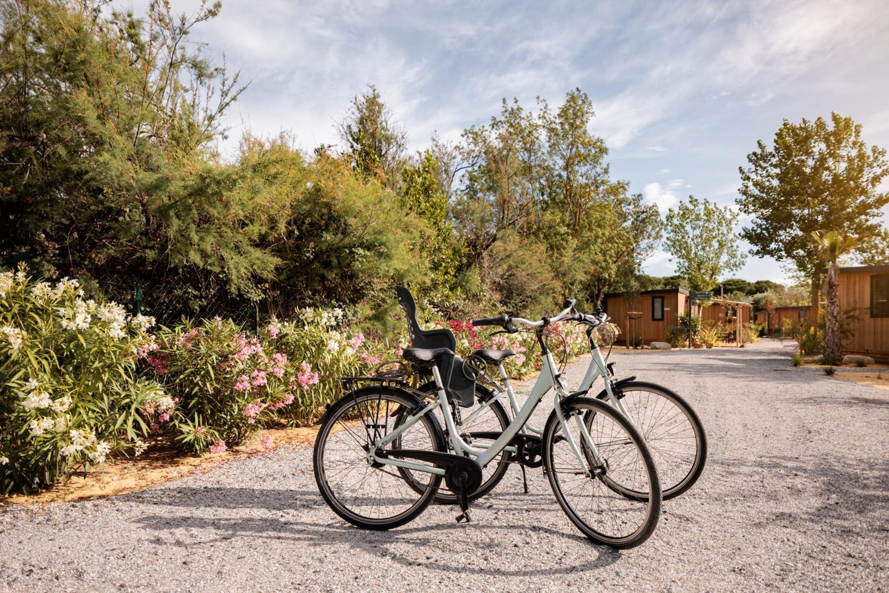 Blendin Retreat Agde